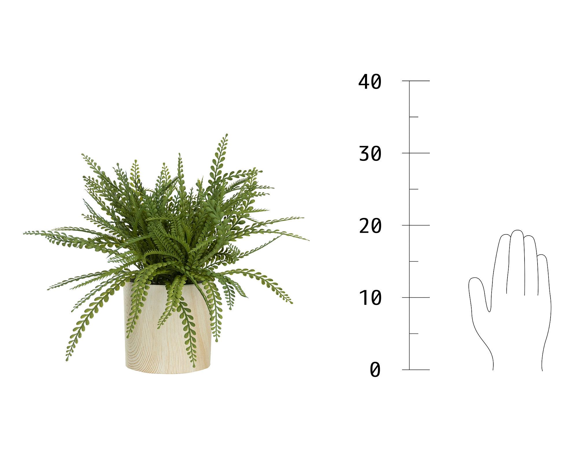 Planta artificial 32 cm Adiantum Outzen-5