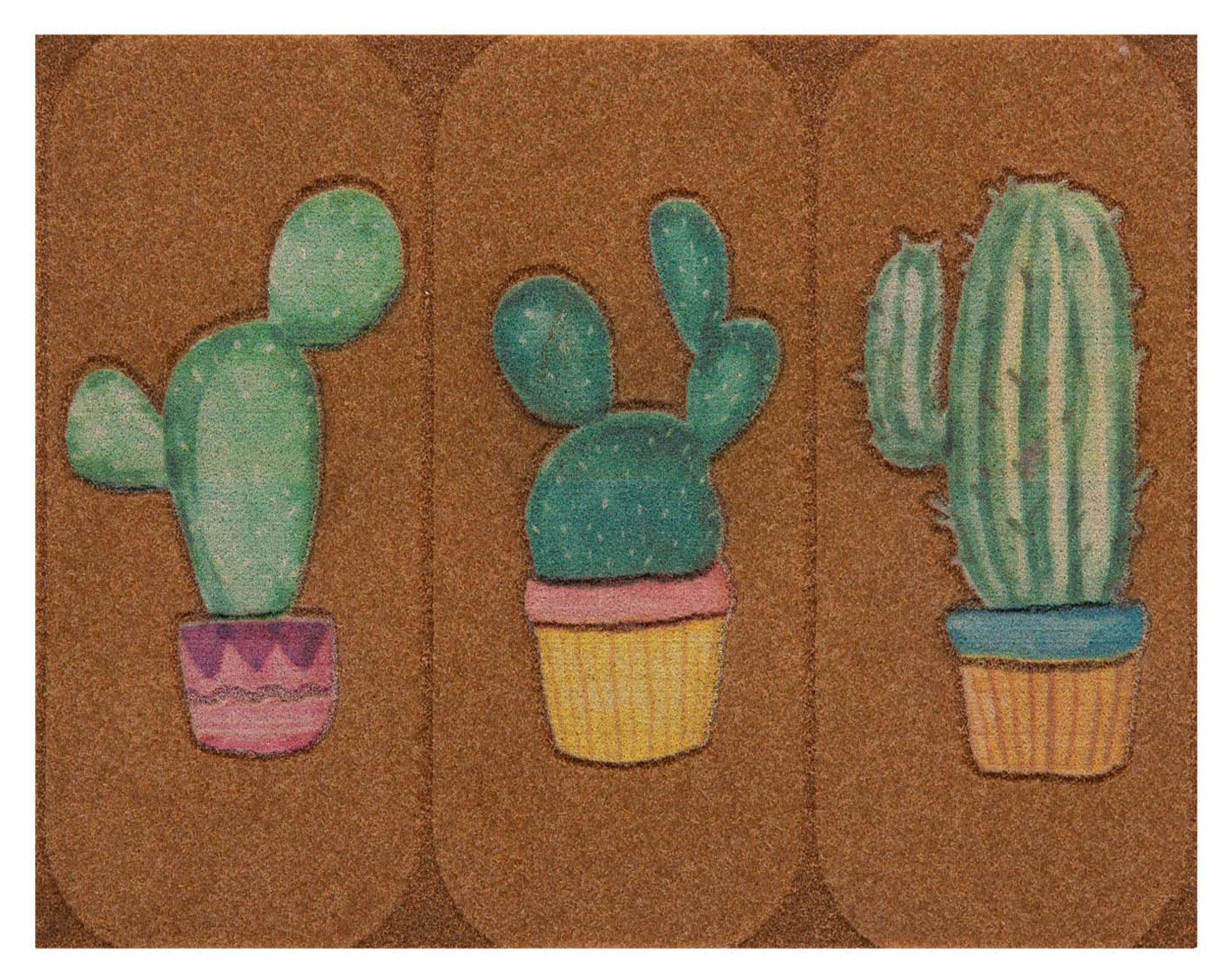 Limpiapiés 45x75 cm Coco cactus café Dib-0