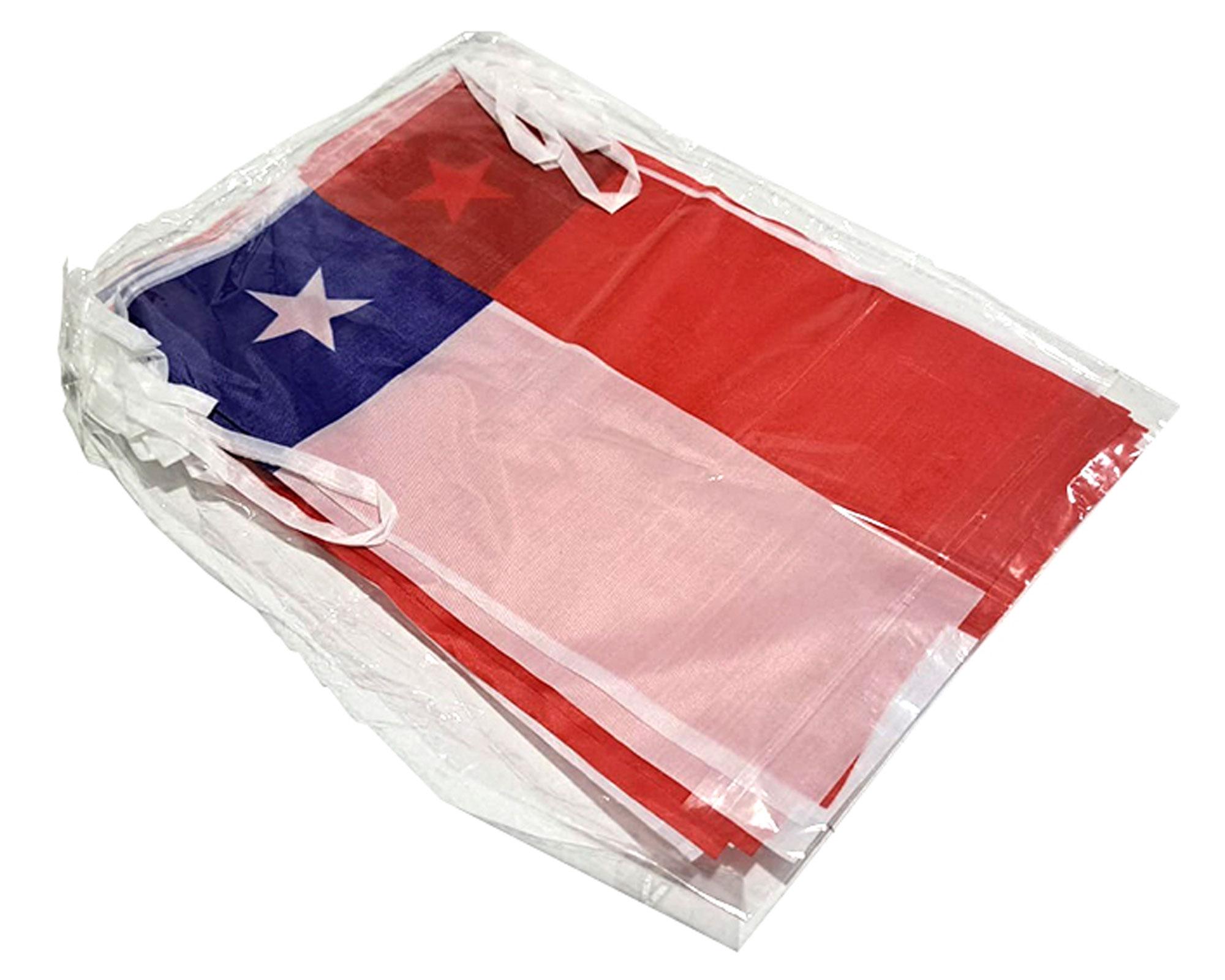 Tira bandera chilena 20x30 cm Reka-2