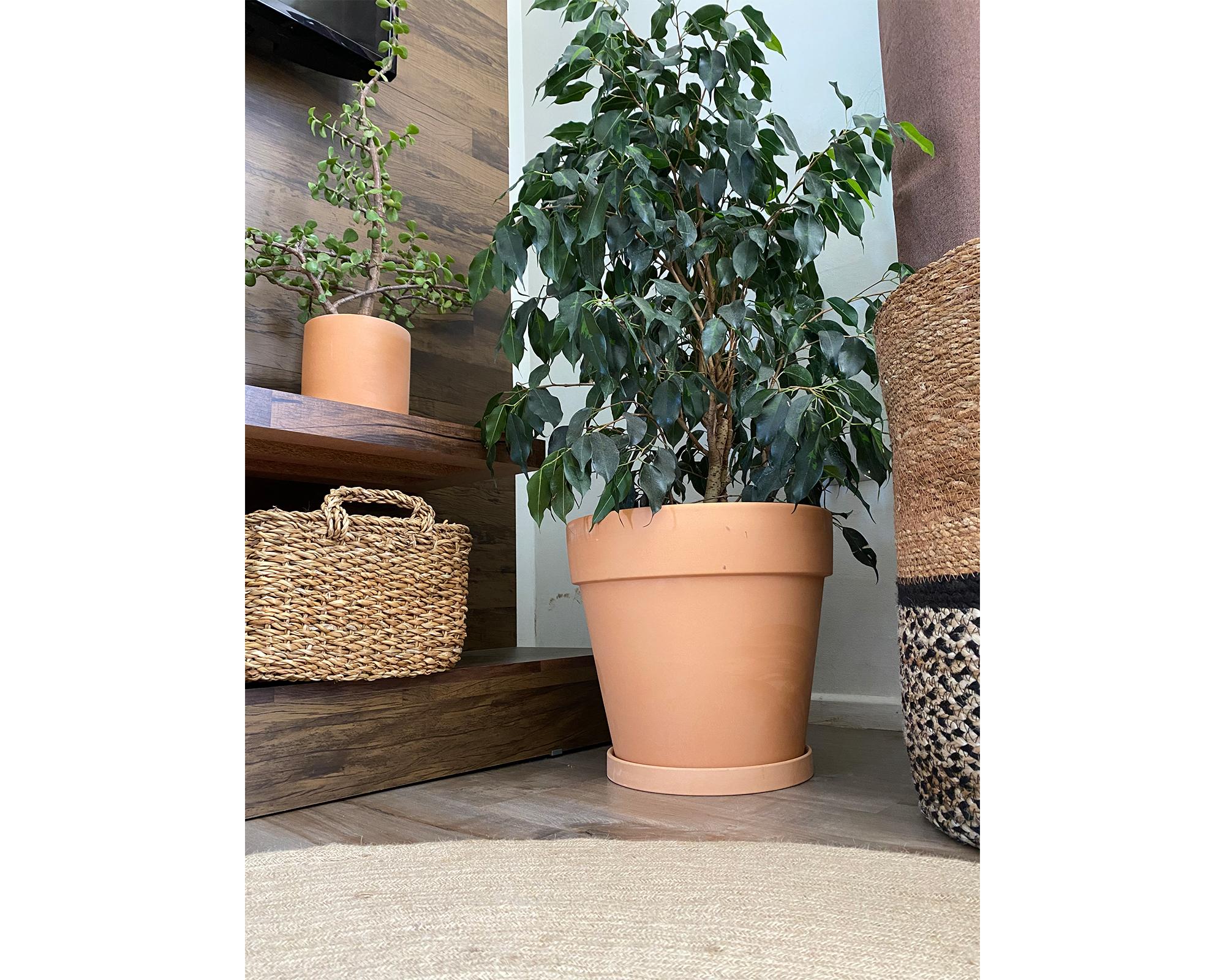 Macetero L Clásico terracota Decogreen-3