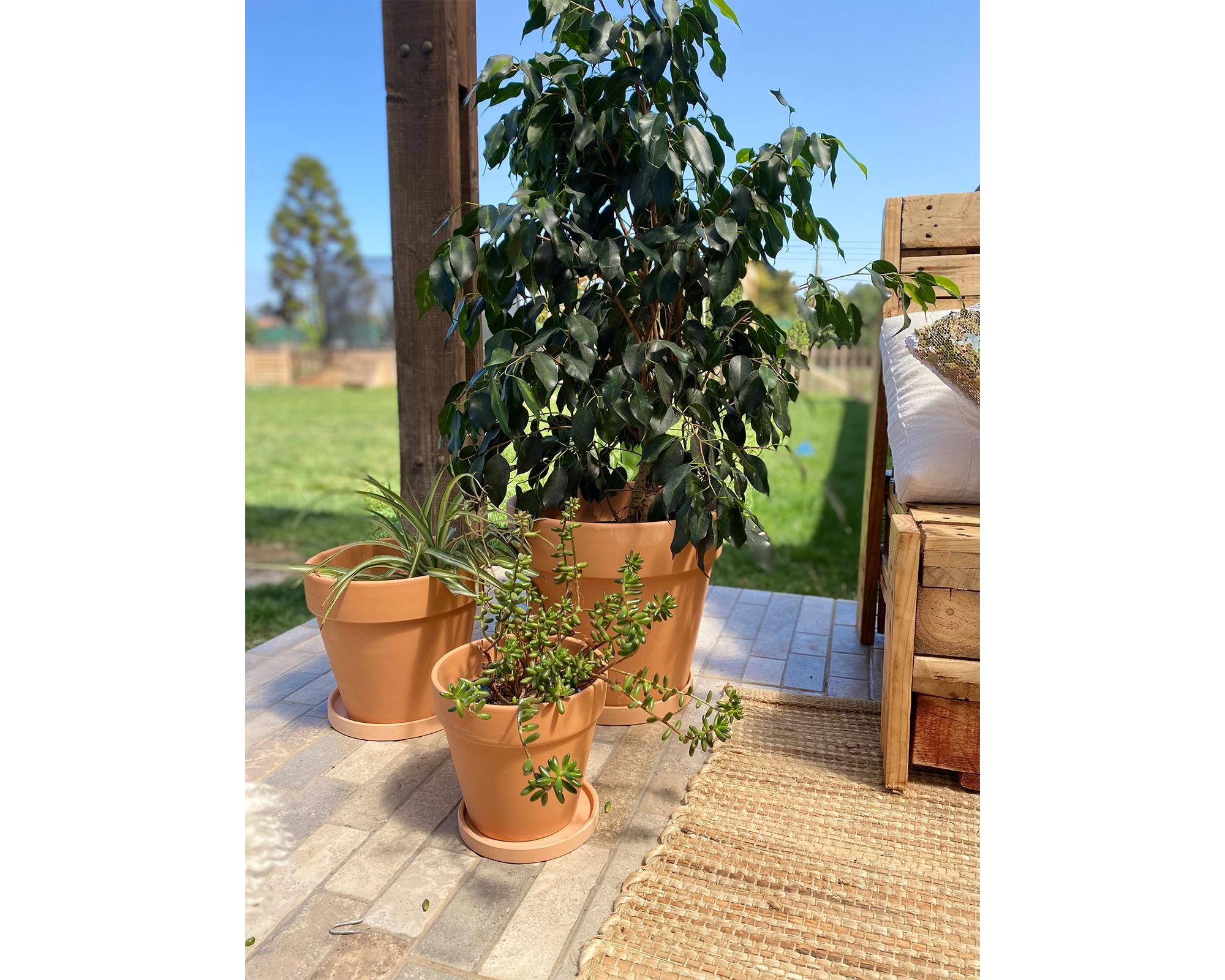 Macetero L Clásico terracota Decogreen-4