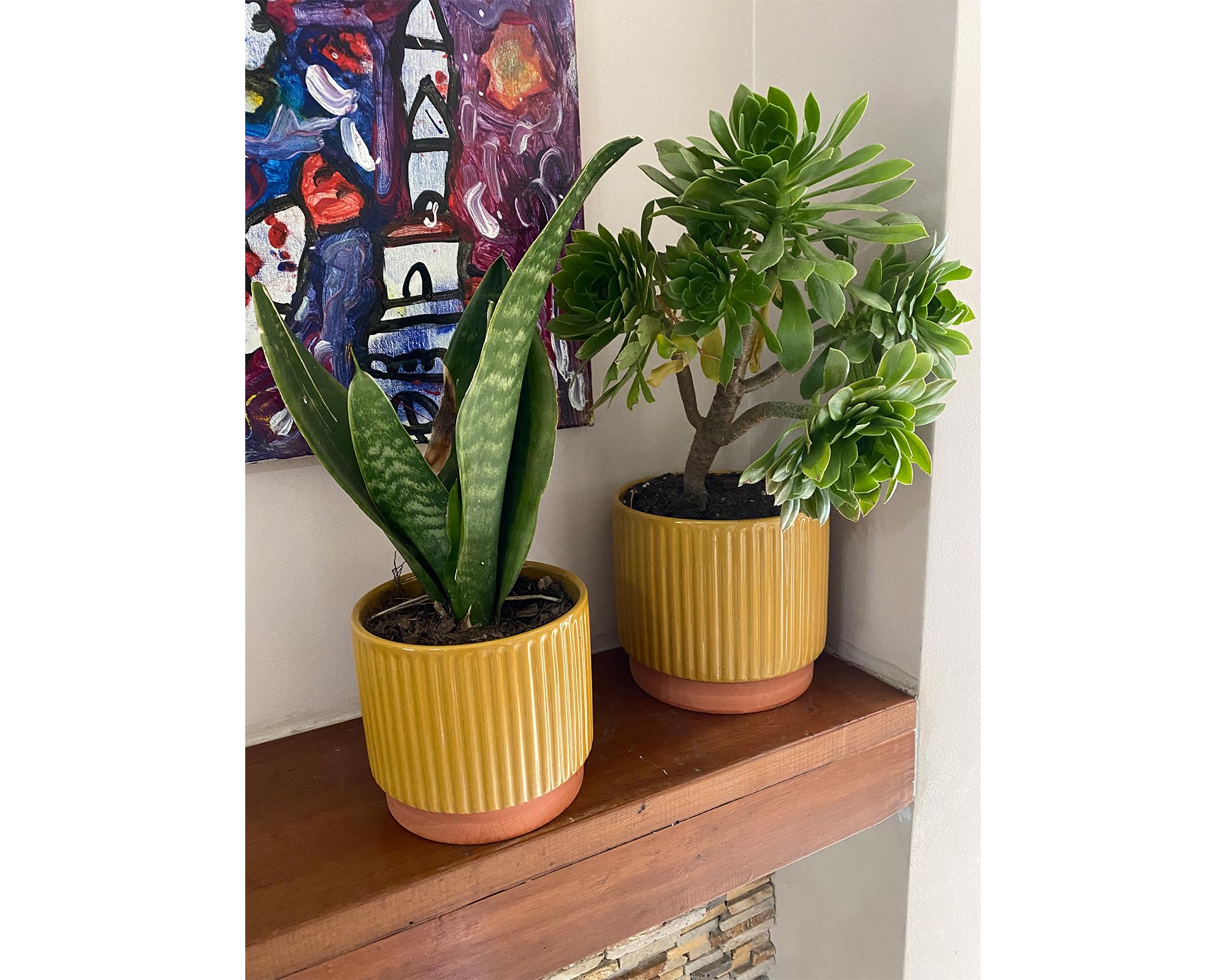 Macetero enlozado mostaza 14x12x12 cm-3