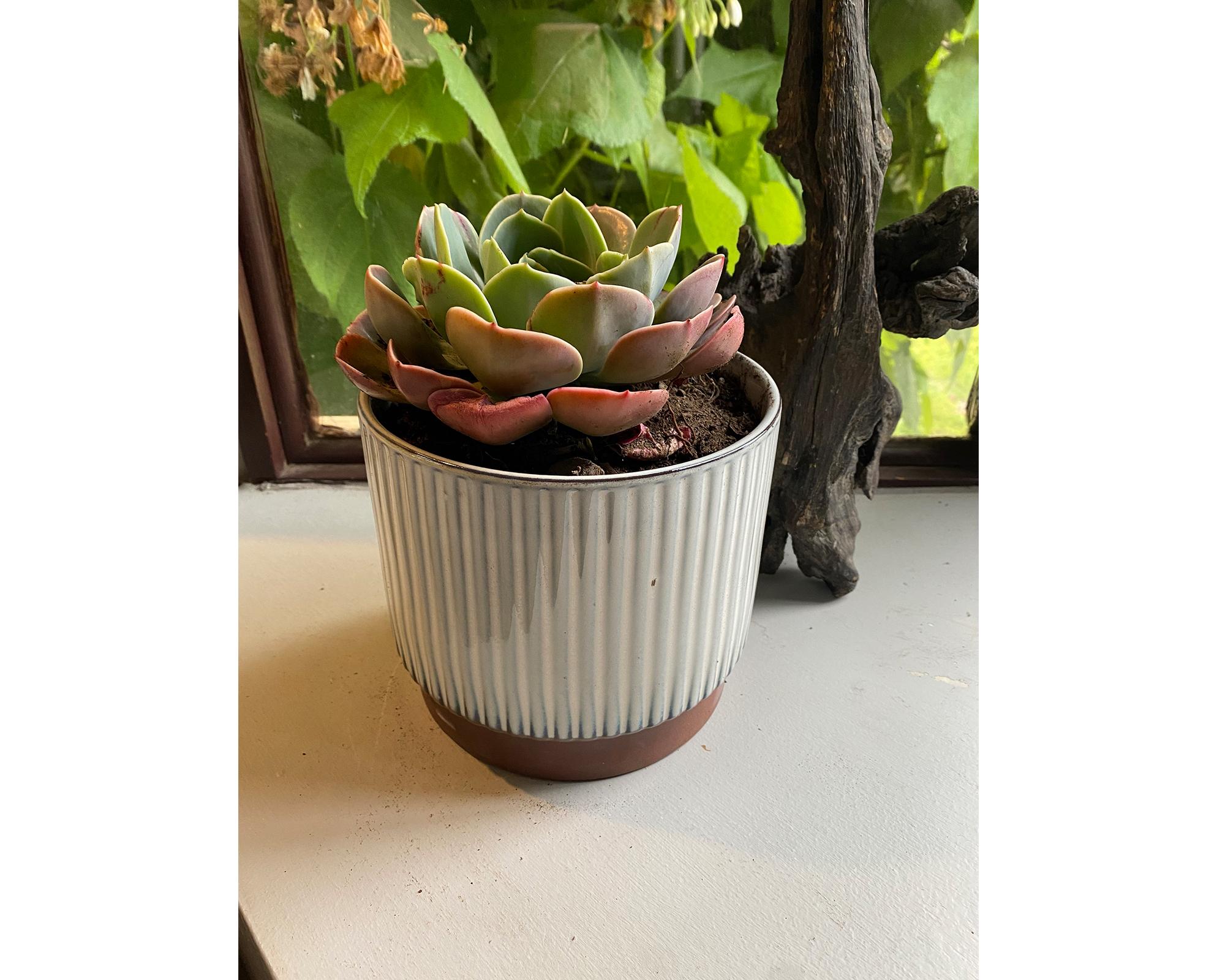 Macetero enlozado blanco 17x15x15 cm-1