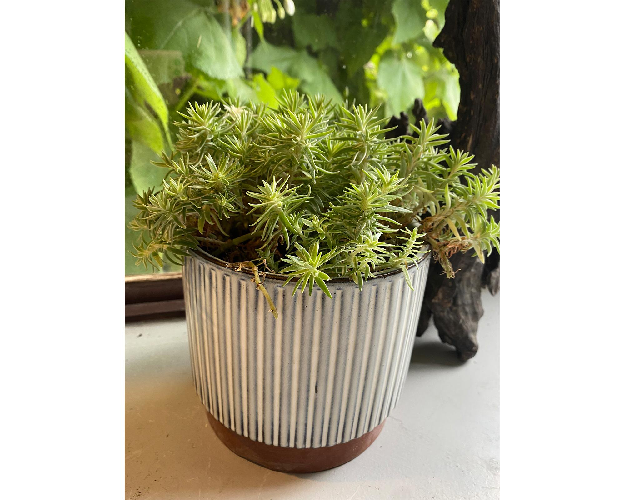 Macetero enlozado blanco 14x12x12 cm-1