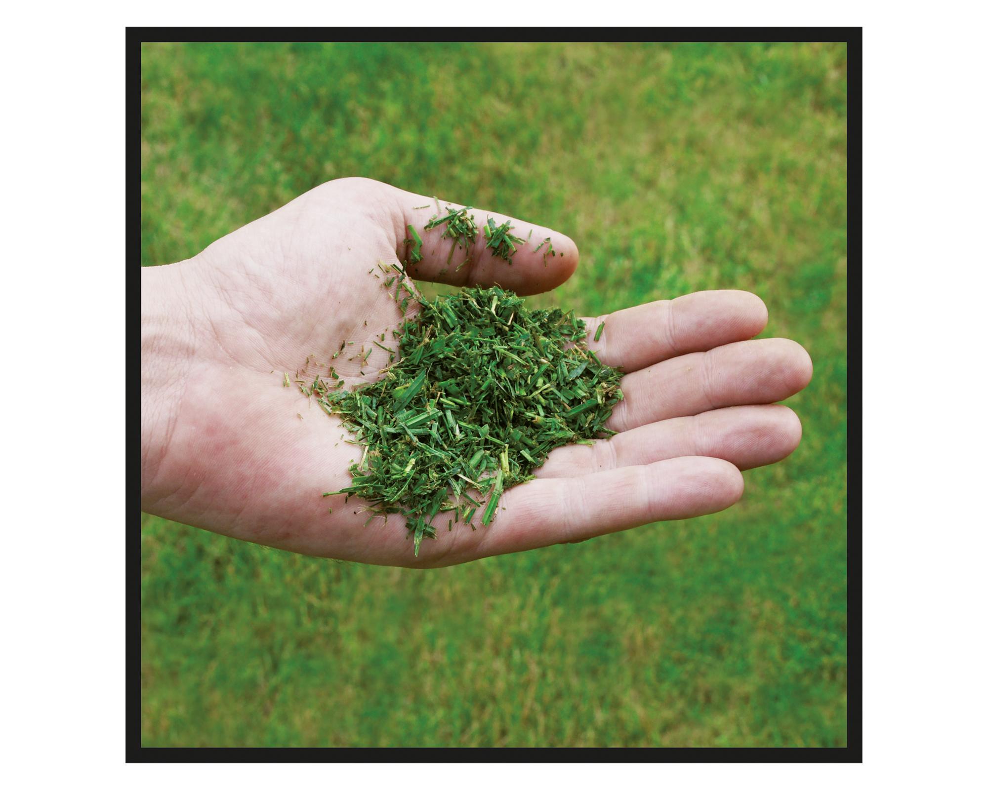 Cortacésped inalámbrico 2x18V 2.5 Ah GE-CM 36/48 Li M-Solo-3