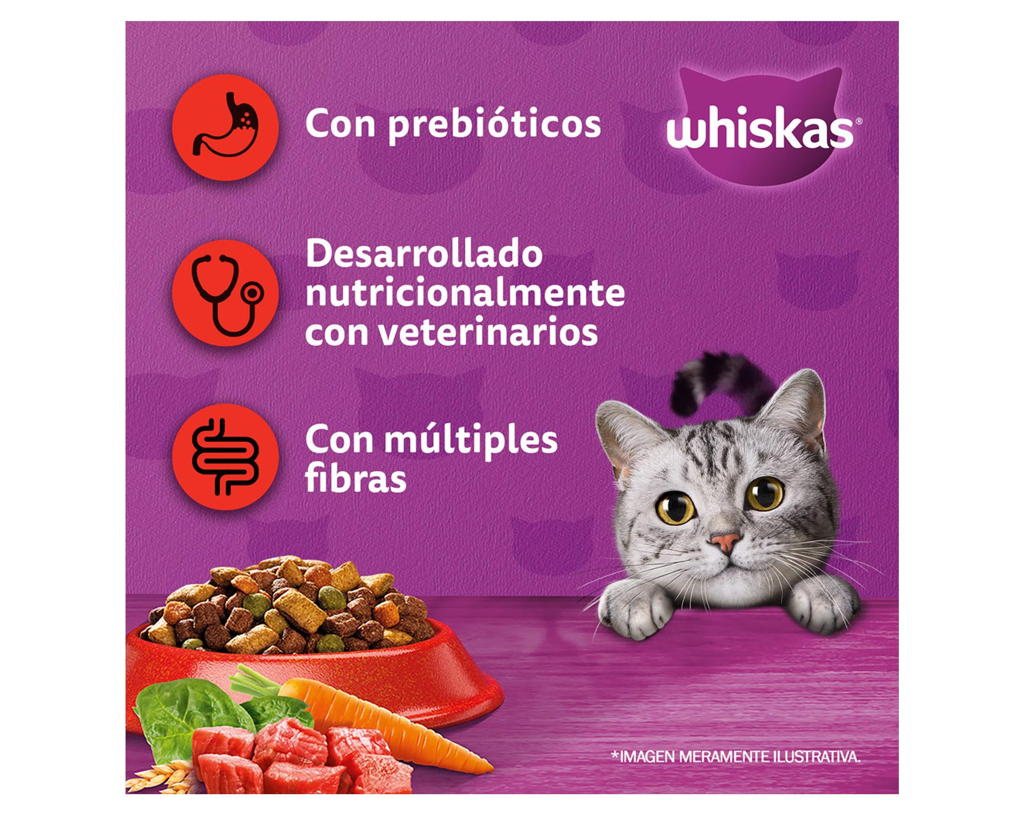 Alimento seco 8 kg gatos adultos Carne-1