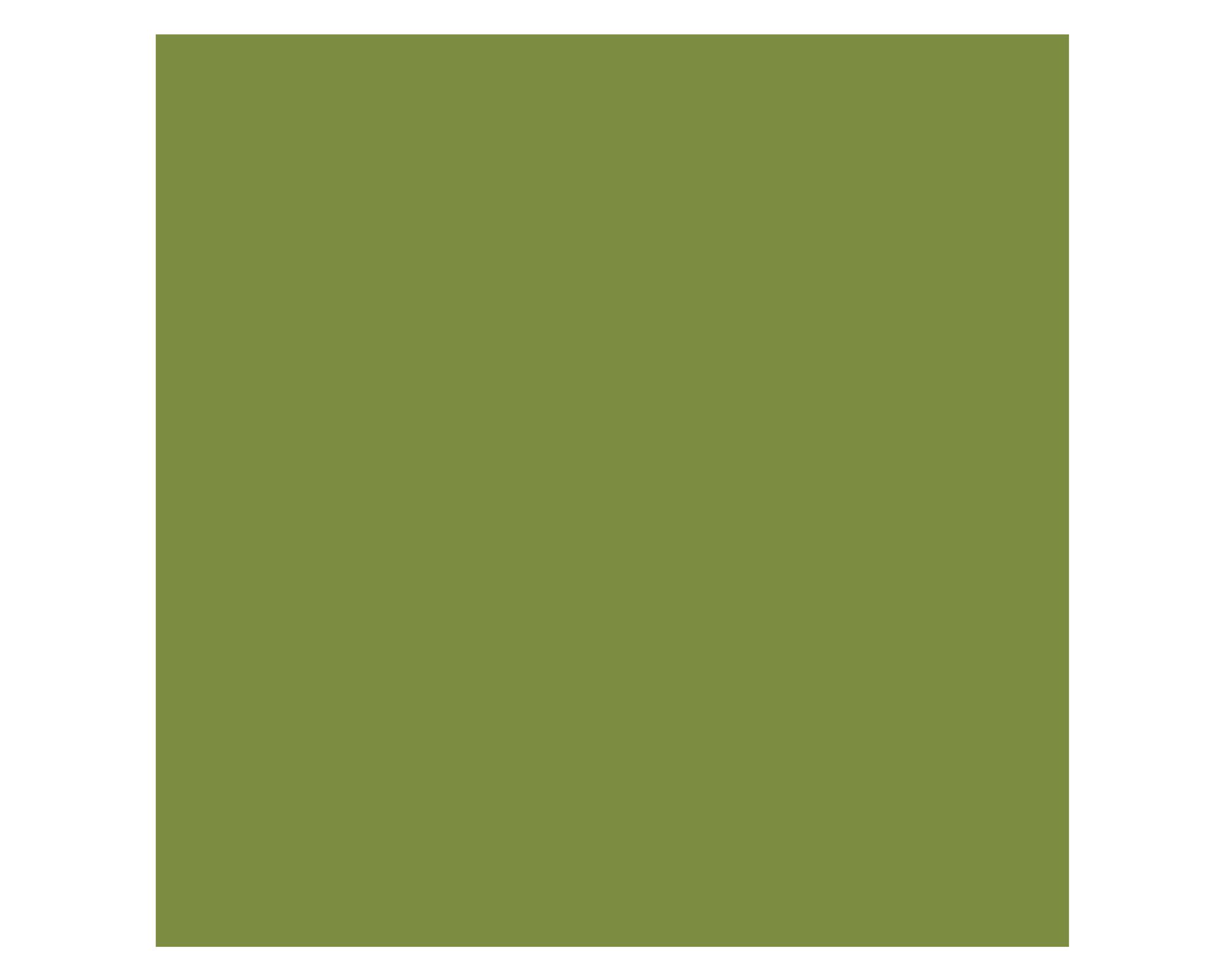 Spray anticorrosivo 340 g Metal Protection verde laurel-1