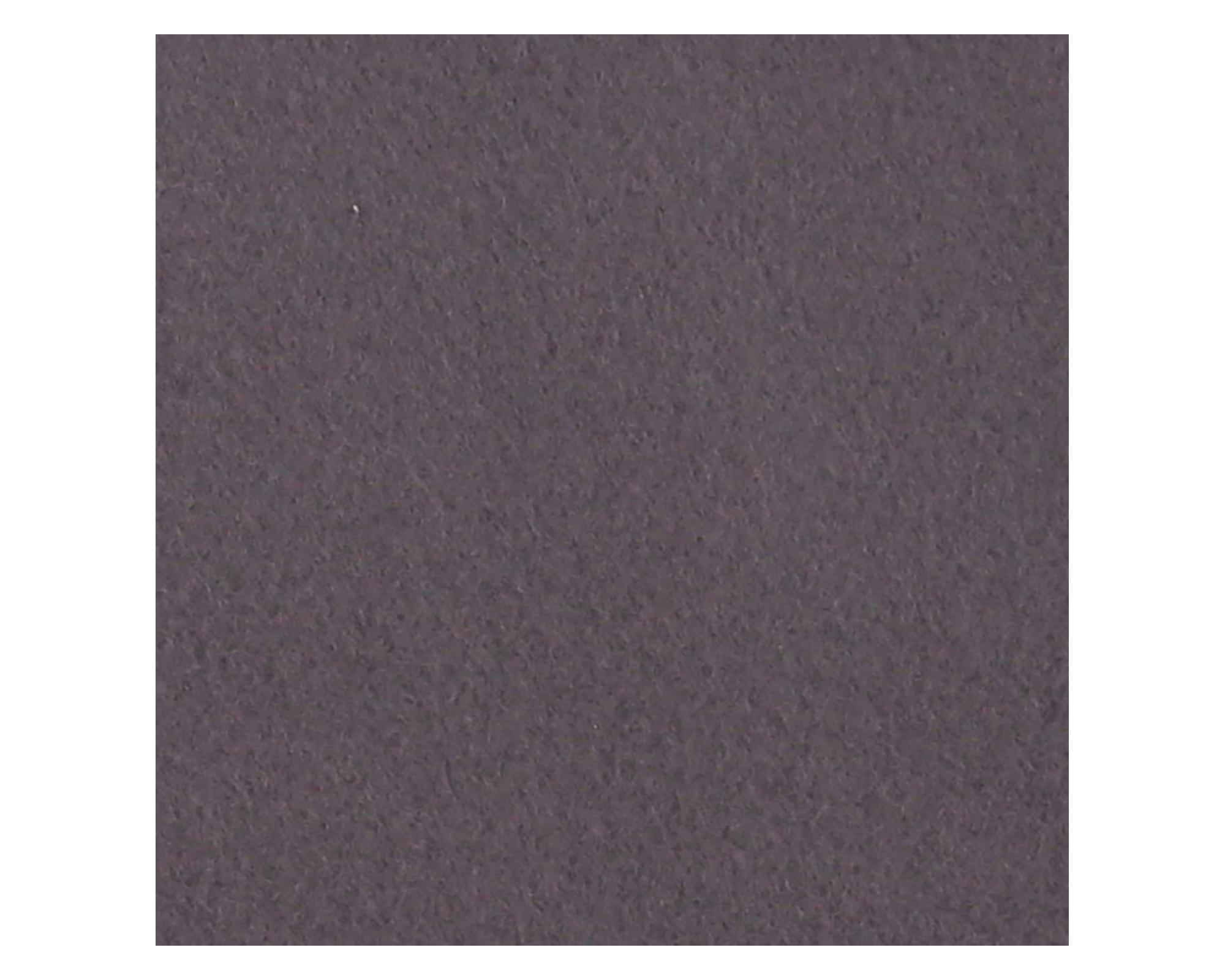 Frazada polar Lisa 300 gsm morado 2 plazas-1