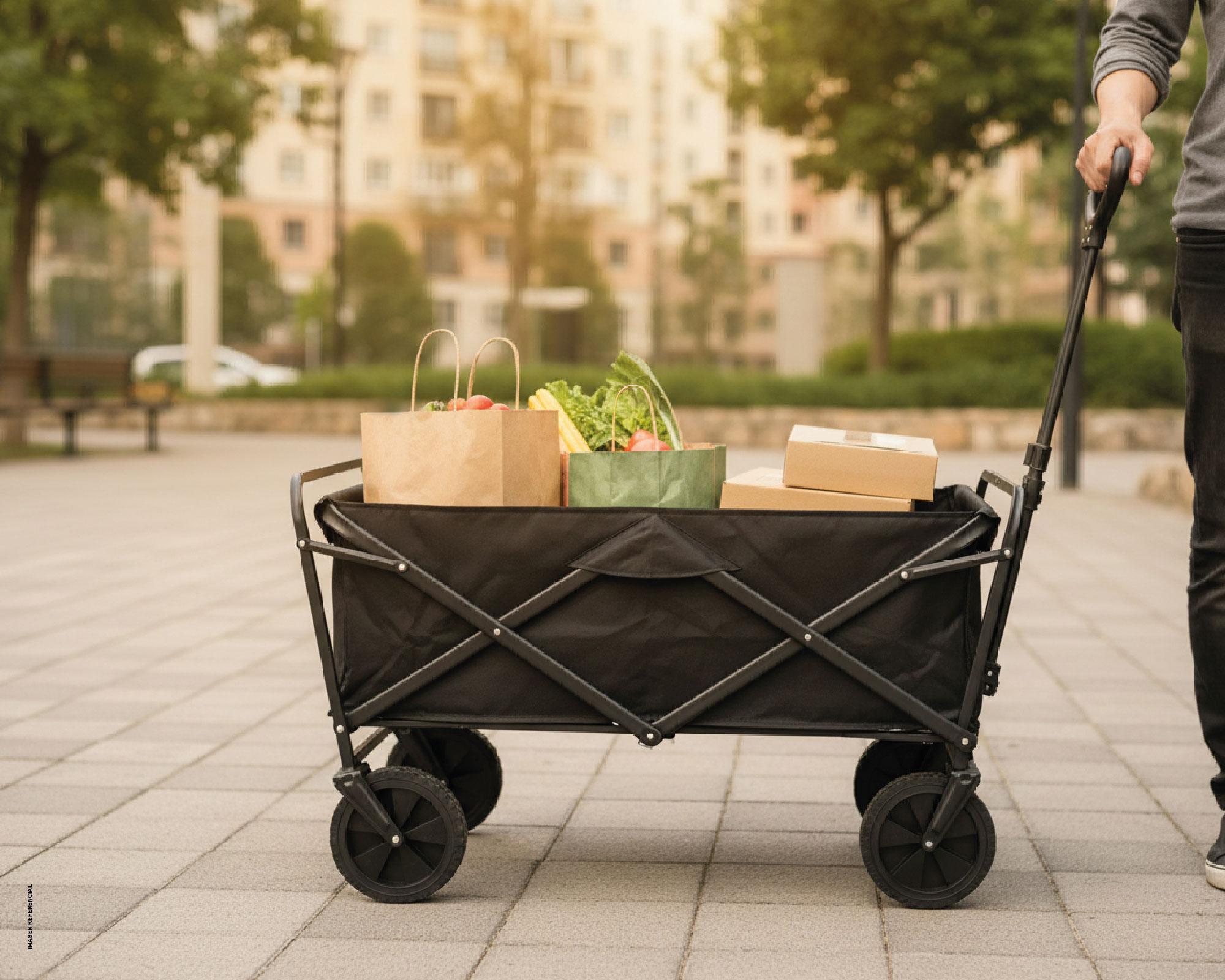 Carro abierto plegable 100 kg 4 ruedas-4