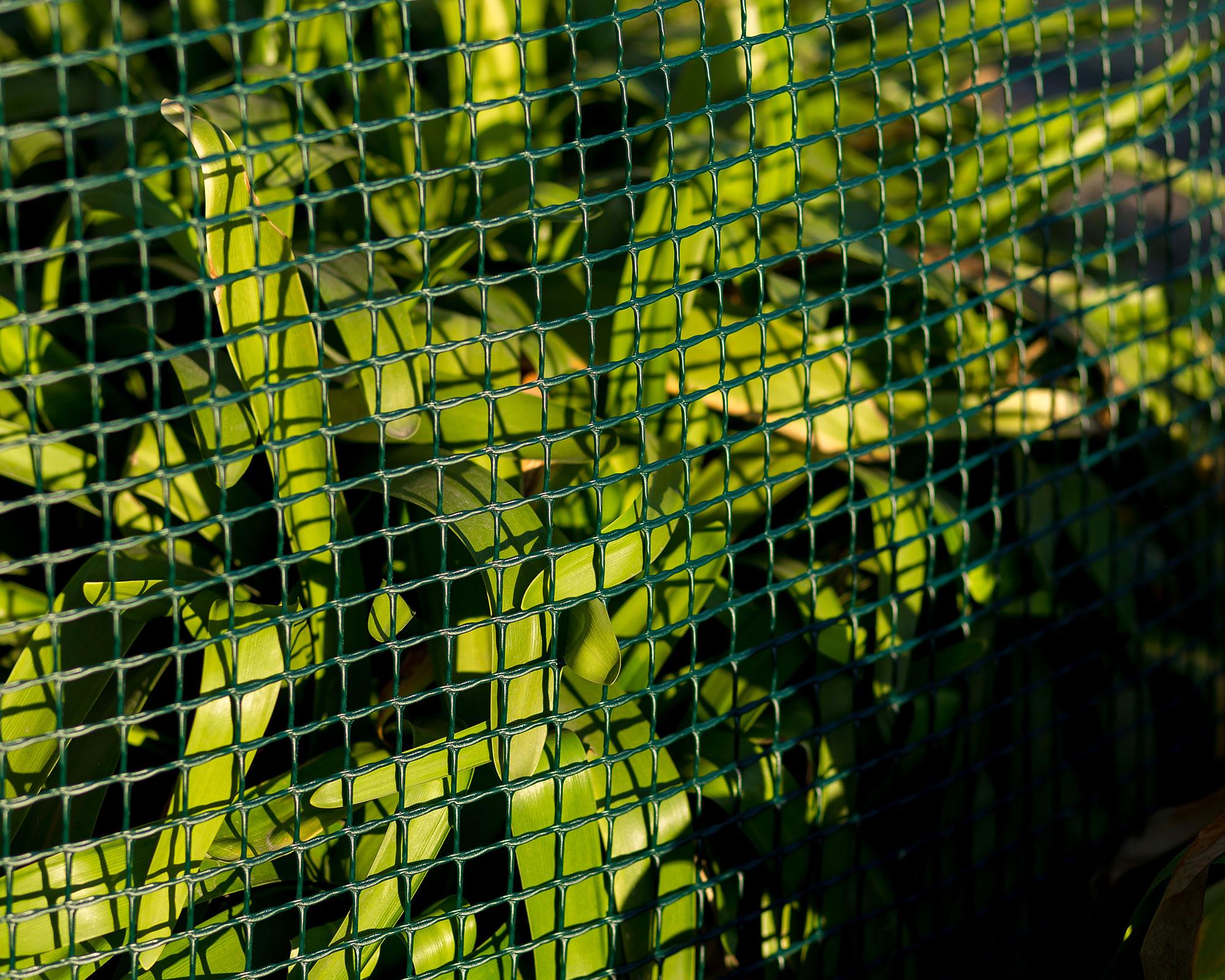 Malla jardinera verde 6x6 mm 100x300 cm-2