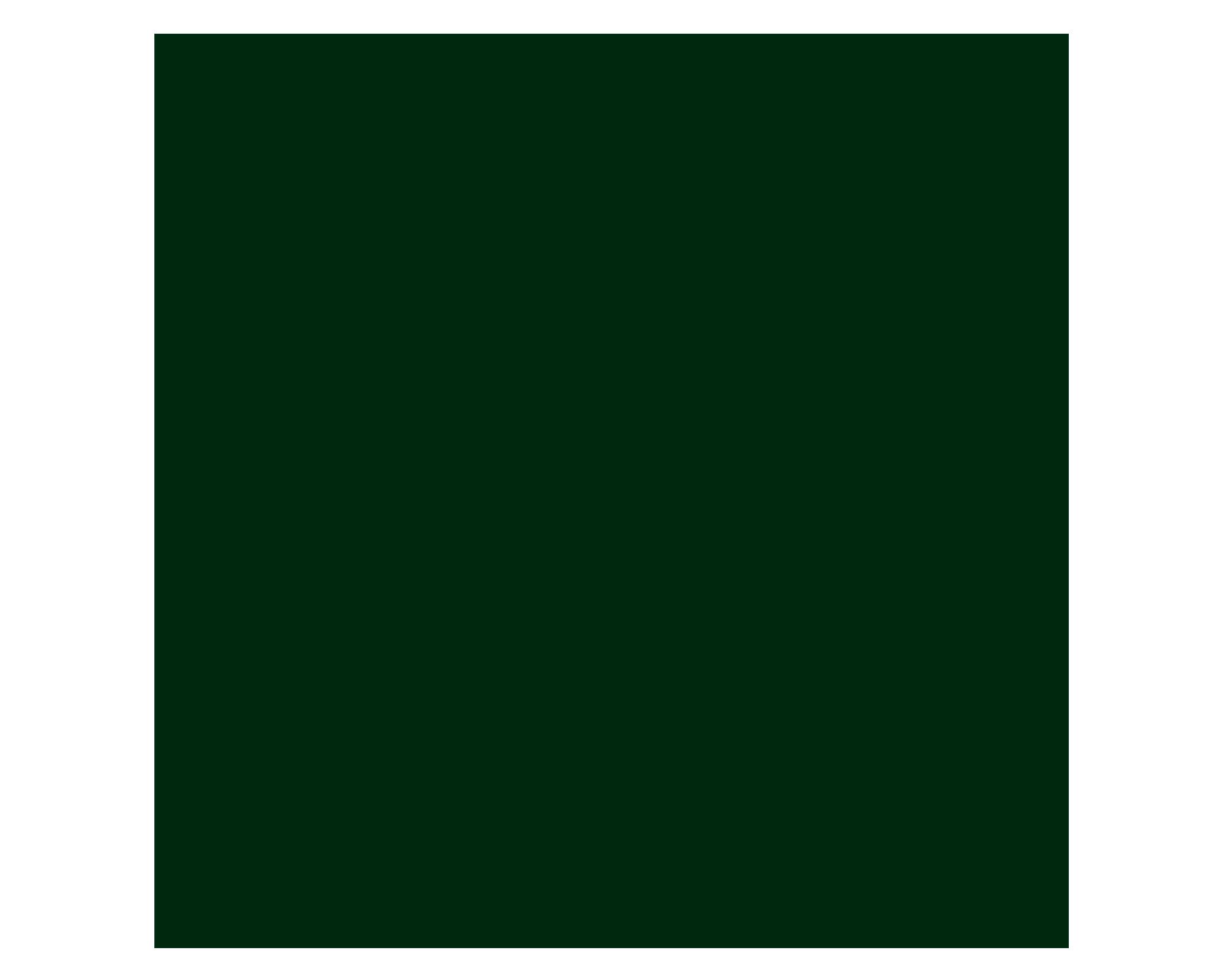 Pintura spray 340 g Ultra 5 en 1 verde militar brillante-1