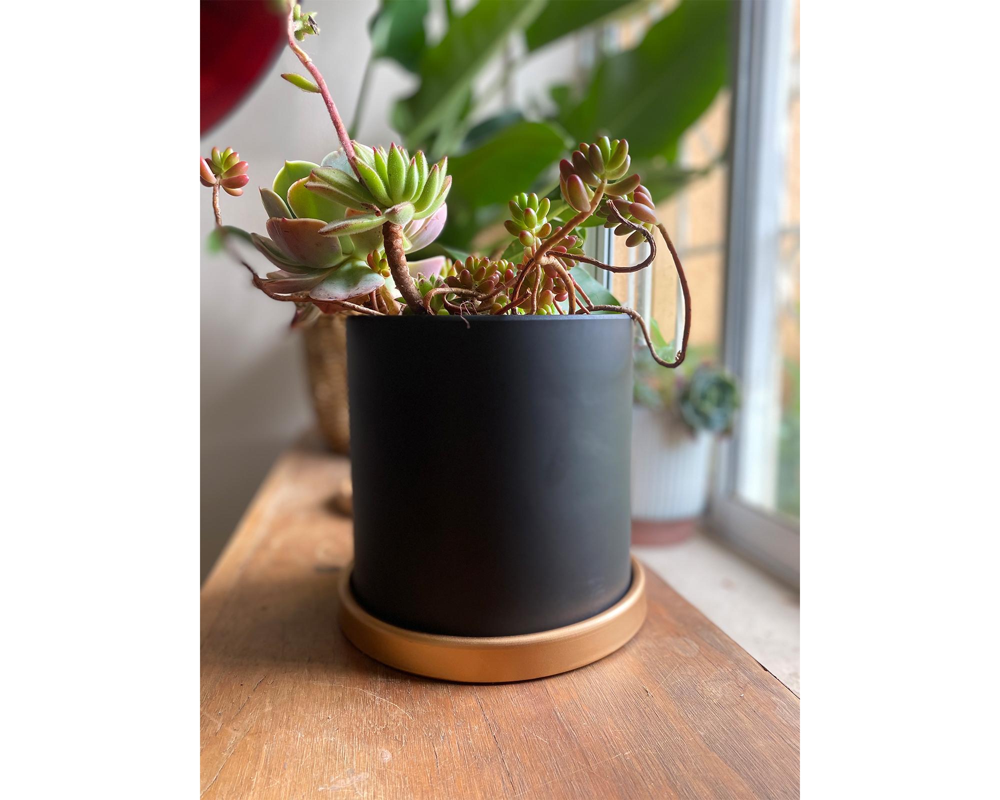 Macetero cilindro grafito con plato dorado L 18x18 cm-2