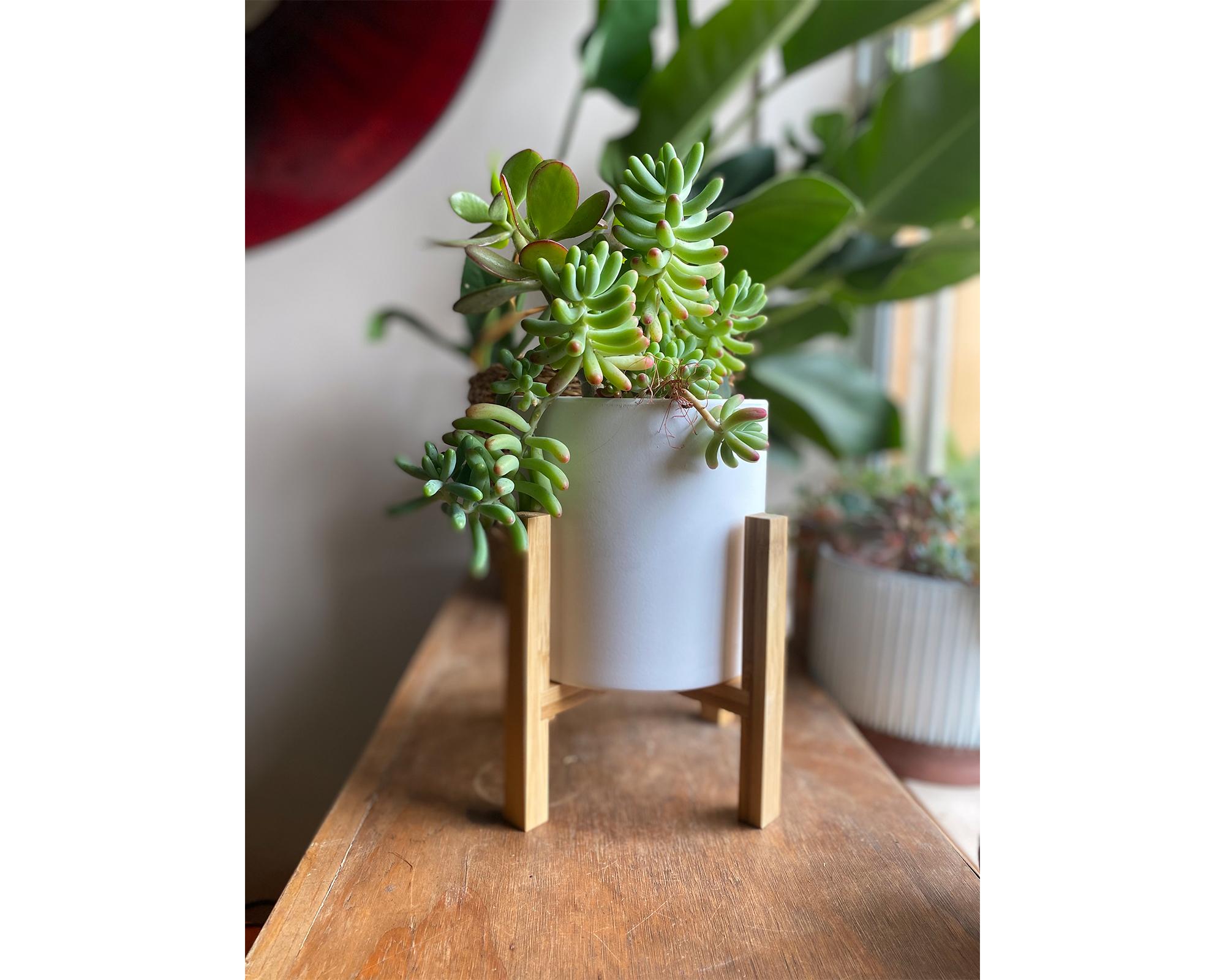 Macetero cilindro blanco crema con pedestal bamboo 25x19 cm-2