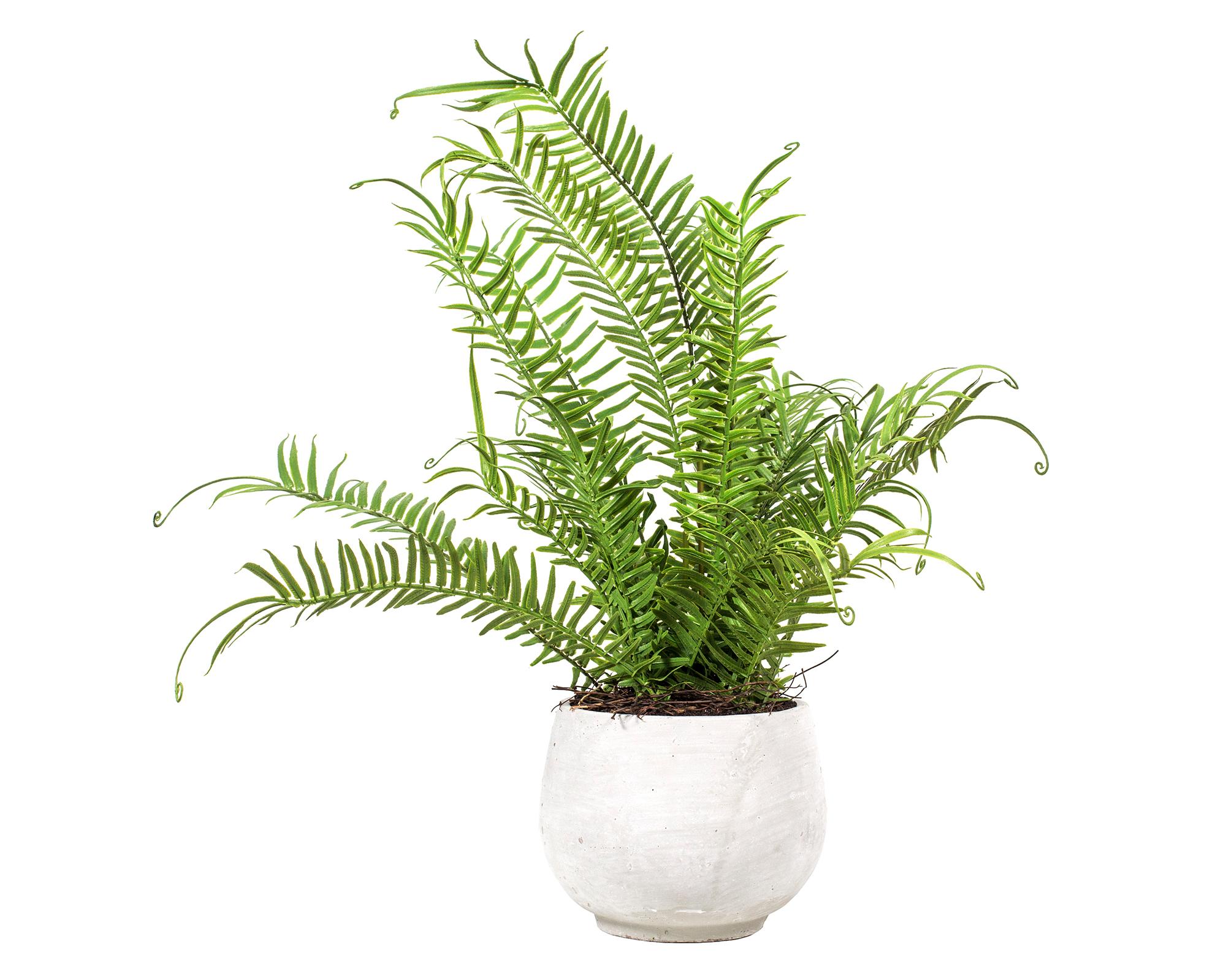 Planta artificial Helecho en macetero cemento-0