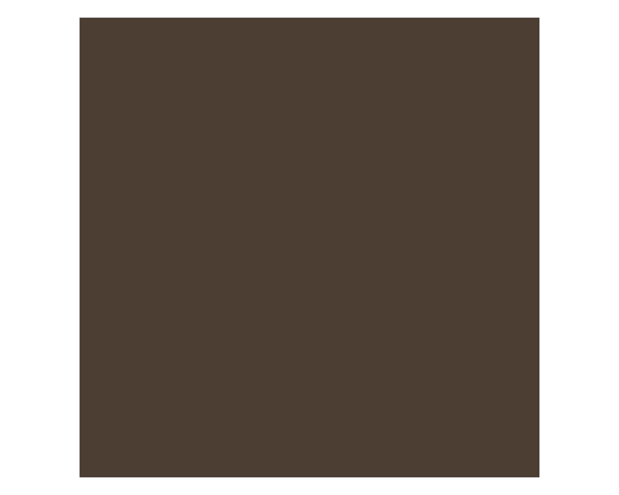Pintura en spray Fusión coffe bean 340 ml-1