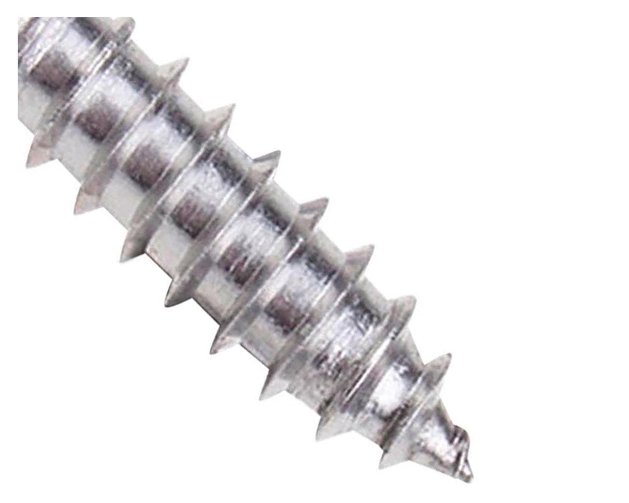 Roscalata cabeza plana inoxidable 10x1 1/2" 5 unidades-2