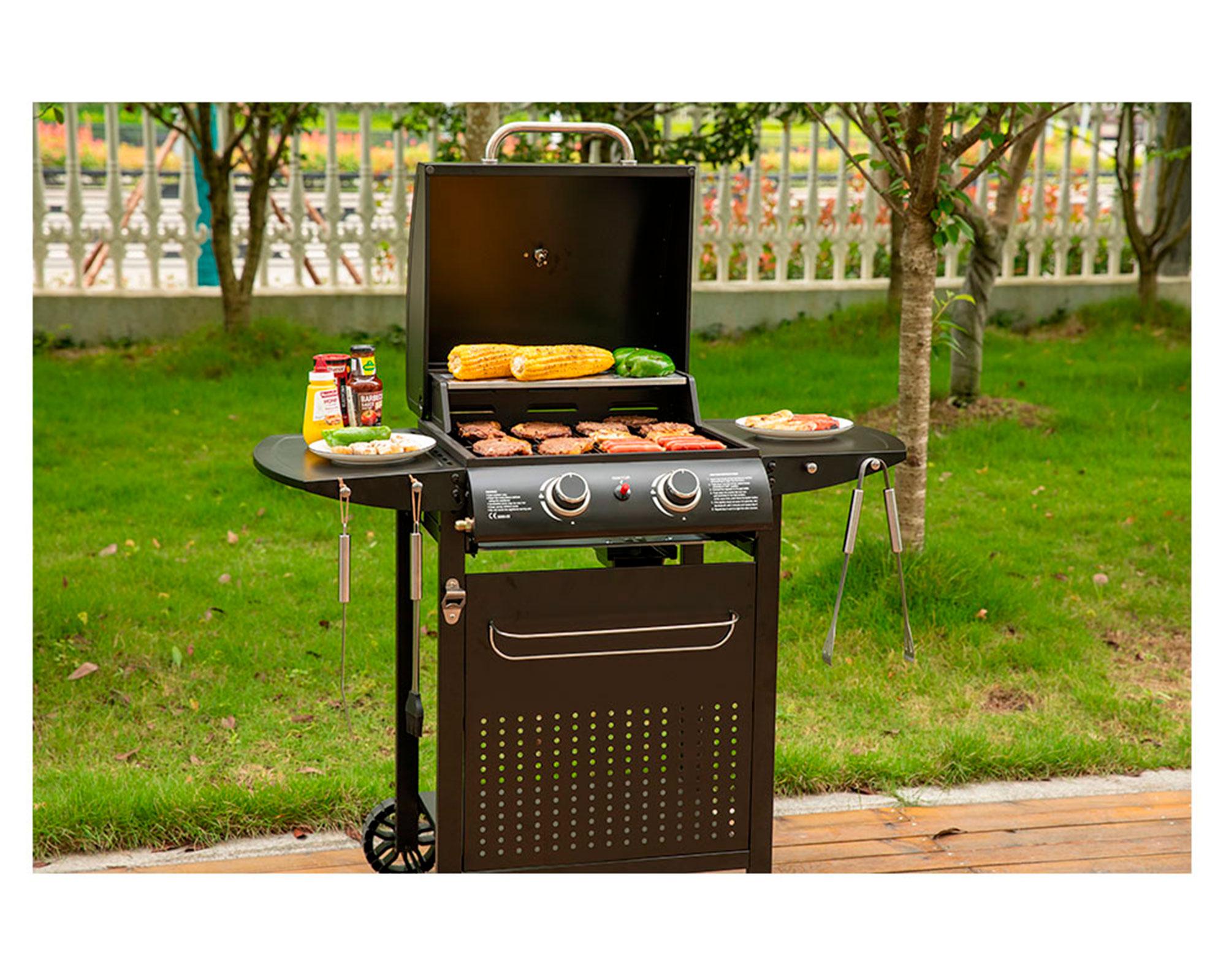 Parrilla a gas 2 quemadores New Toltén-9