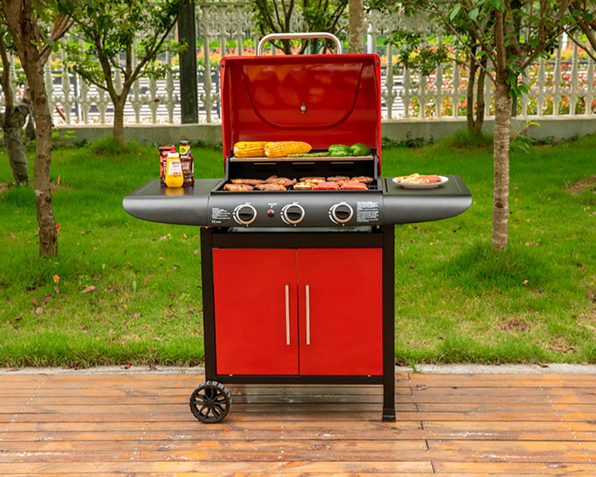 Parrilla a gas 3 quemadores Dakota-8
