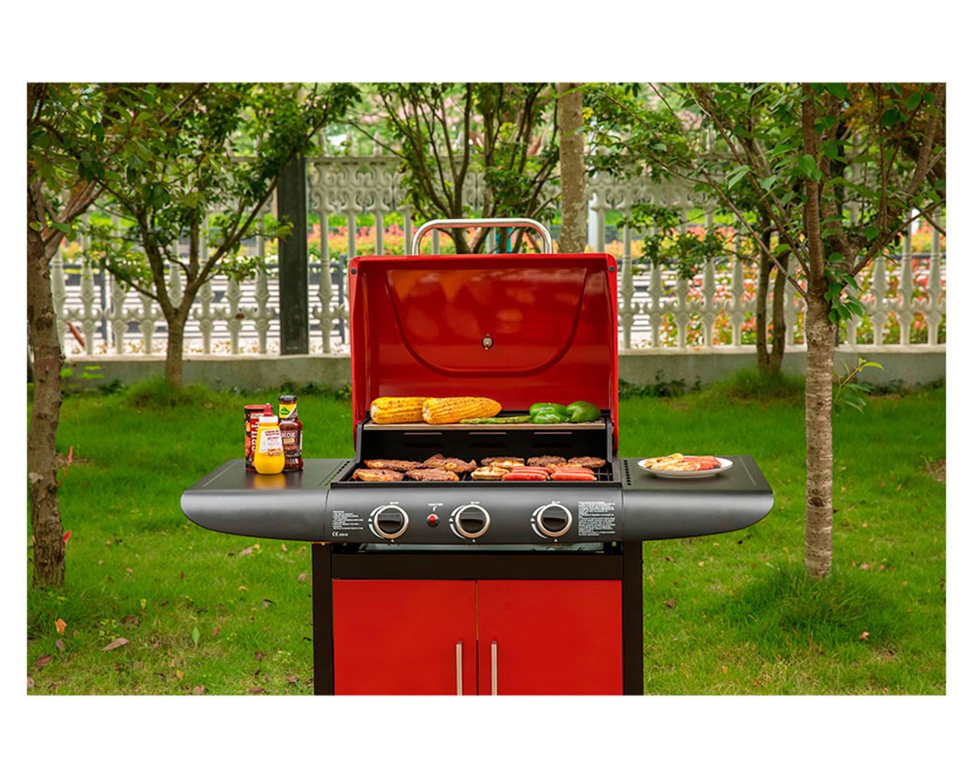 Parrilla a gas 3 quemadores Dakota-9