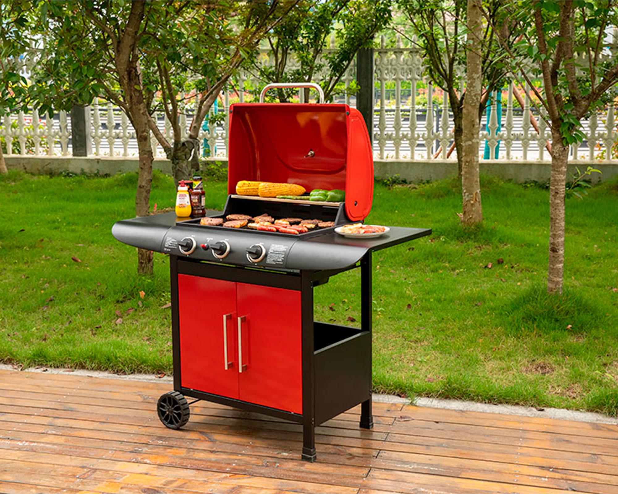 Parrilla a gas 3 quemadores Dakota-2