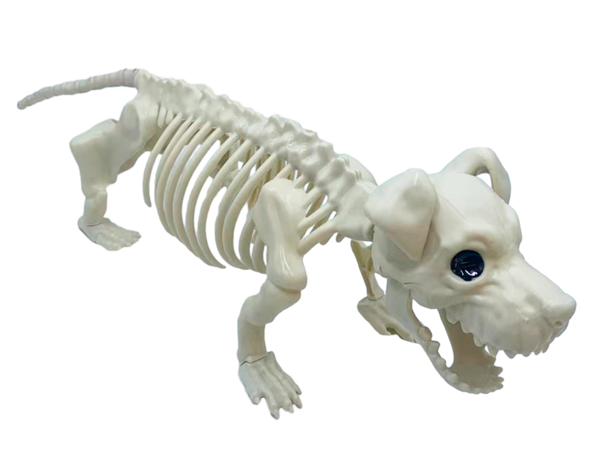 Esqueleto perro decorativo-0