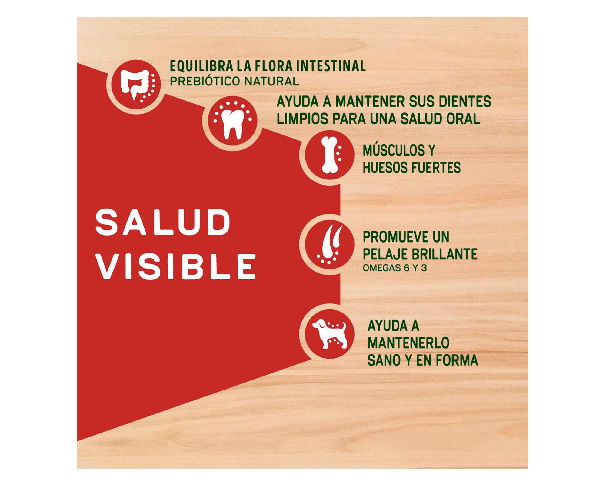 Alimento seco adulto pollo pavo 15 kg-2