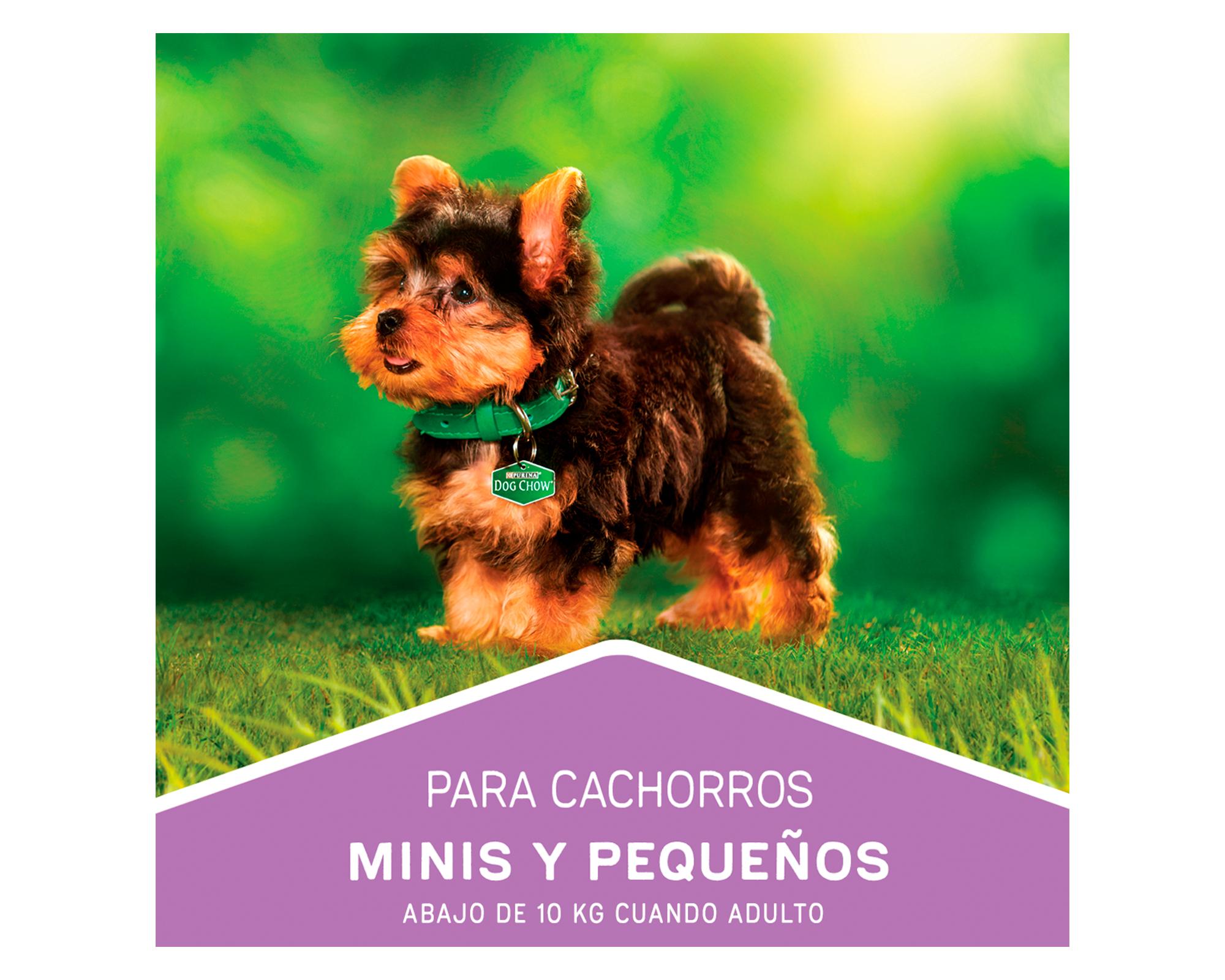 Alimento seco cachorro  carne pollo 8 kg-2