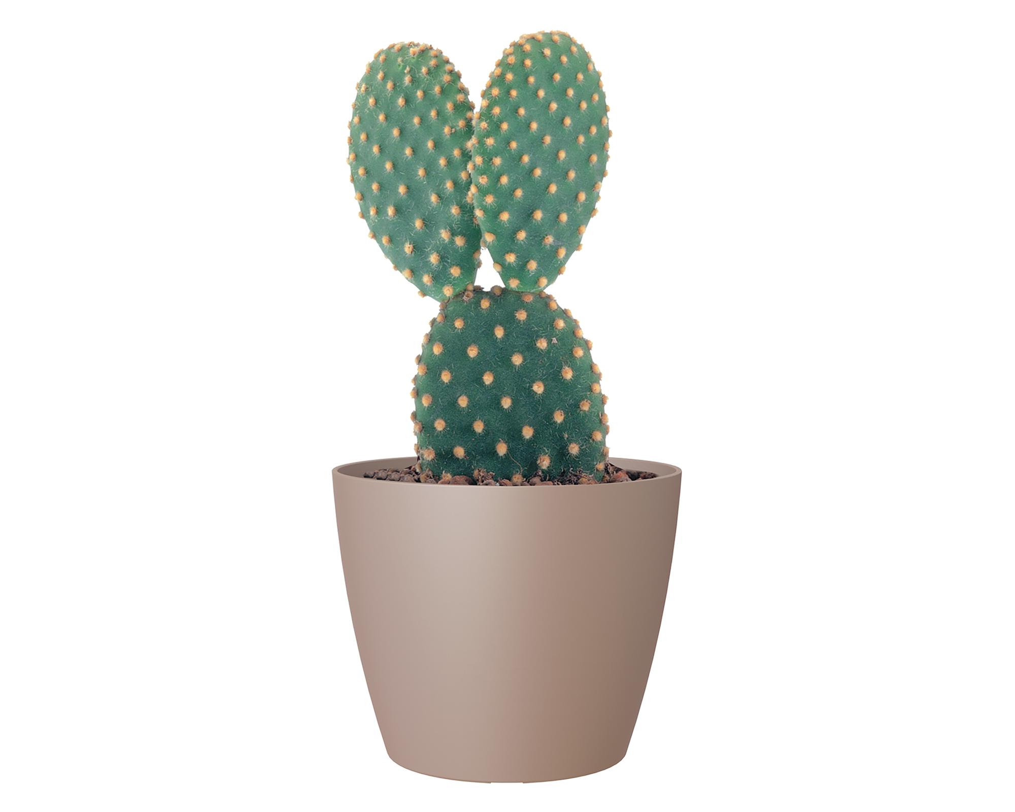Maceta San Remo taupe 20 cm-1
