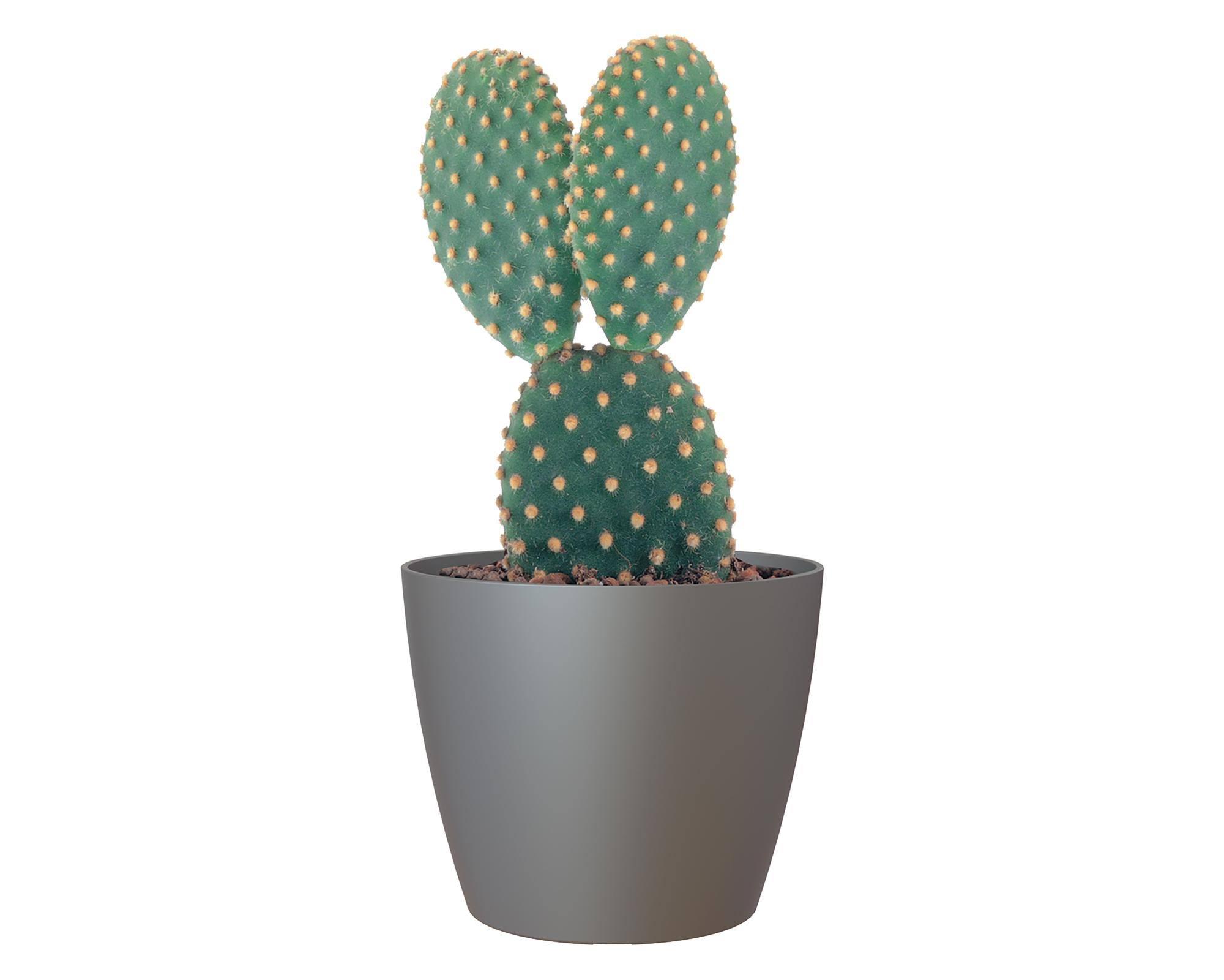 Maceta San Remo antracita 20 cm-1