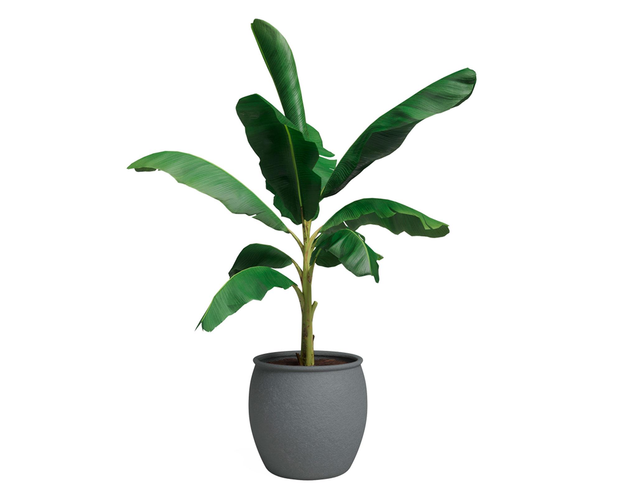 Maceta Artemis pot antracita-3