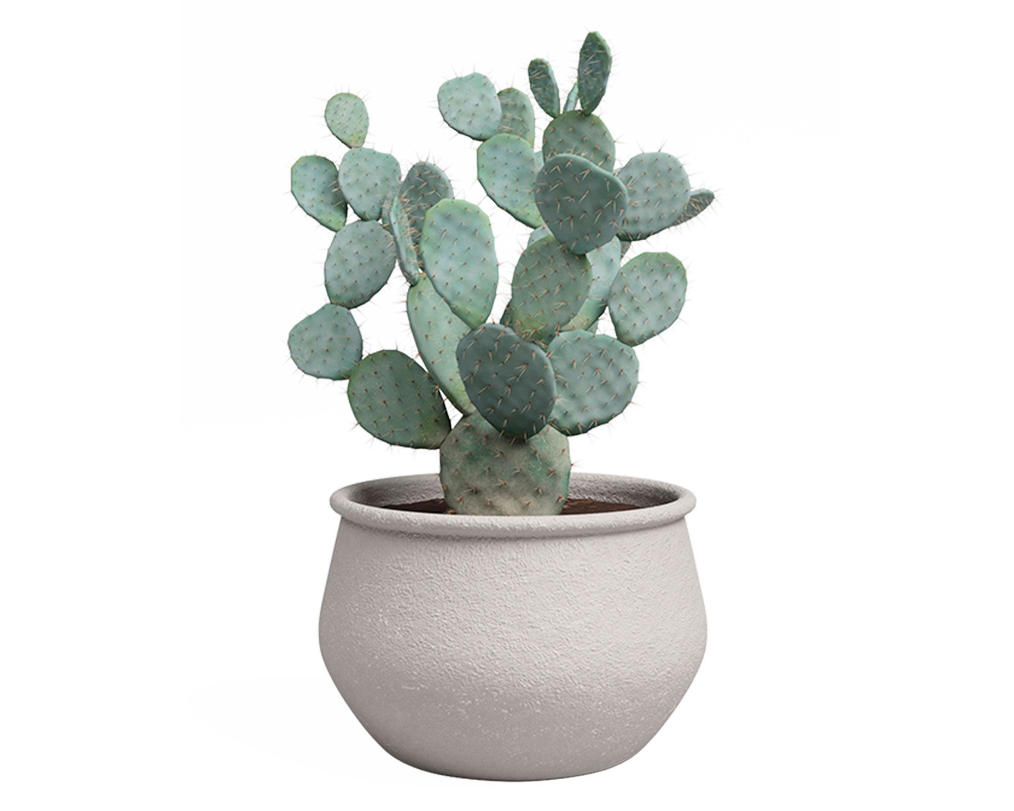 Maceta Artemis bowl blanco 21 cm-3