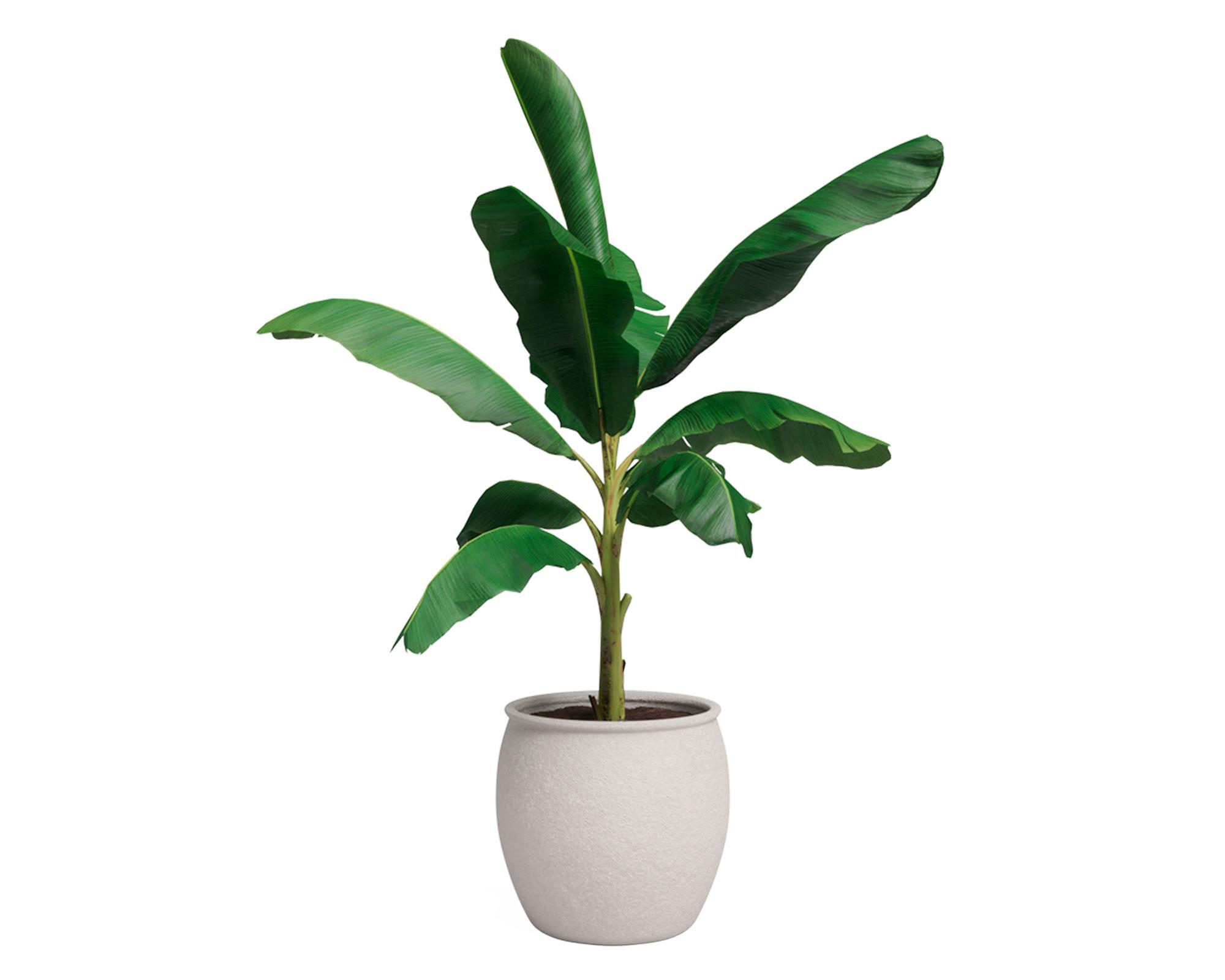 Maceta Artemis pot blanco 29 cm-3
