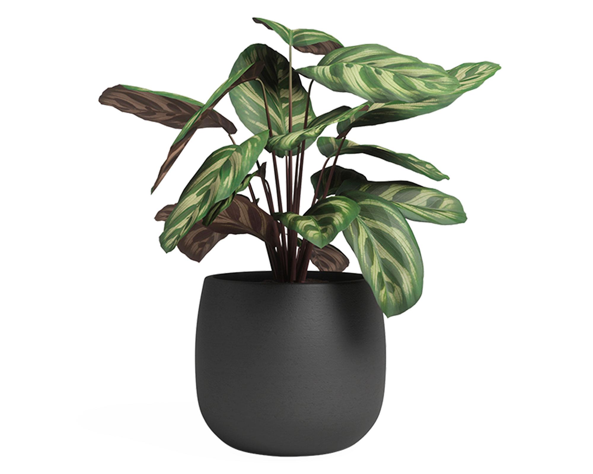Maceta Hemera antracita 20 cm-3