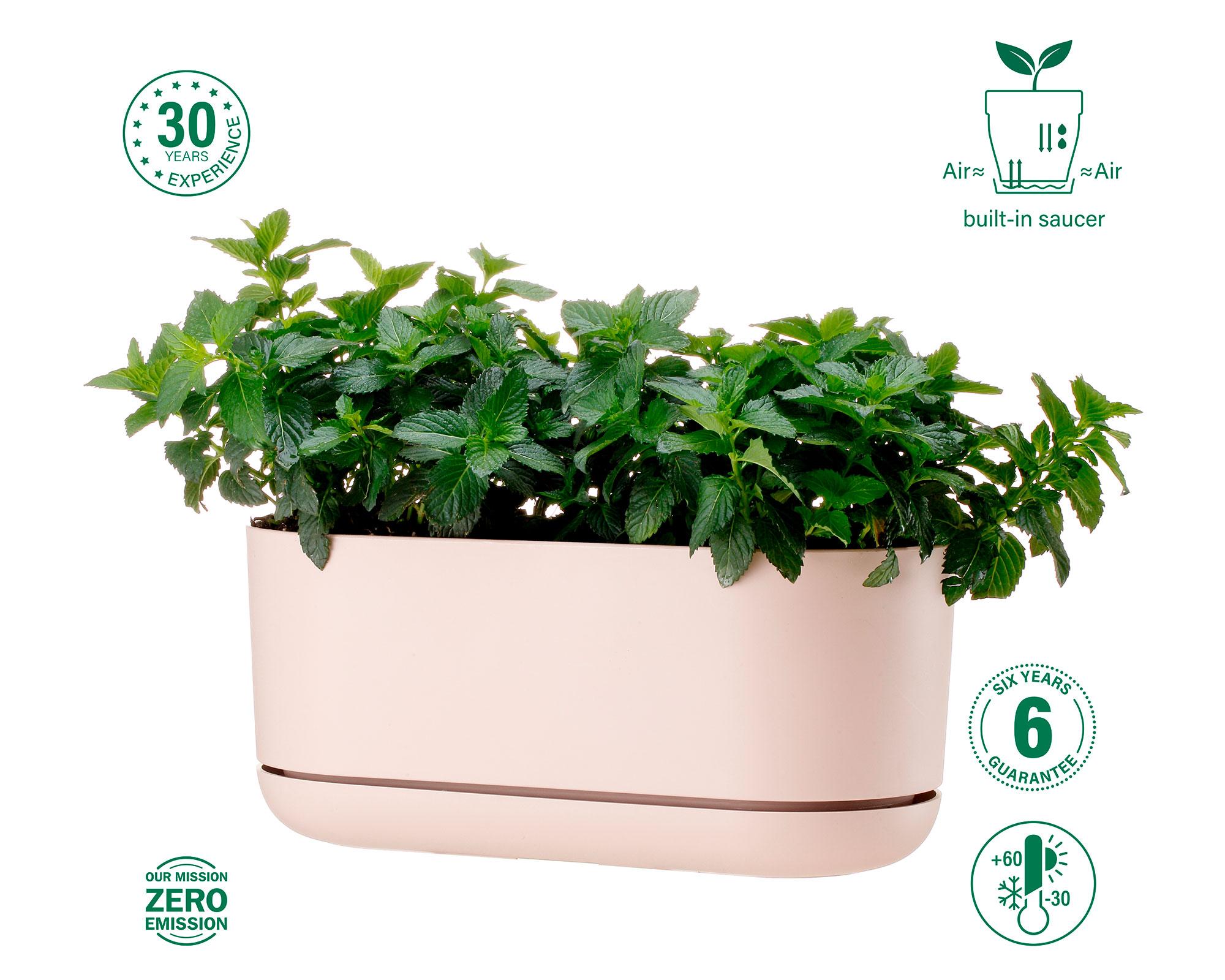 Maceta Umbrella Pink 30 cm-6