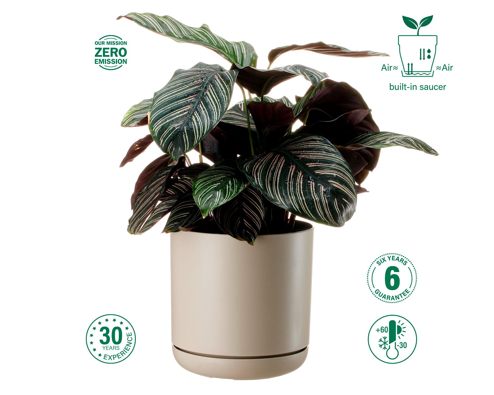 Maceta Oleander ecru 19 cm-5