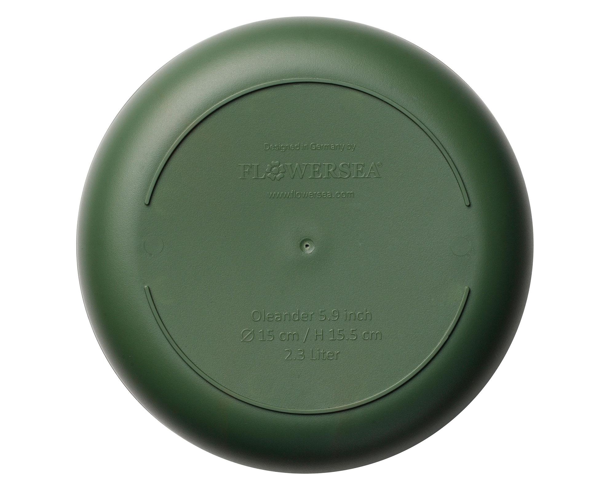 Maceta Oleander verde 15 cm-3