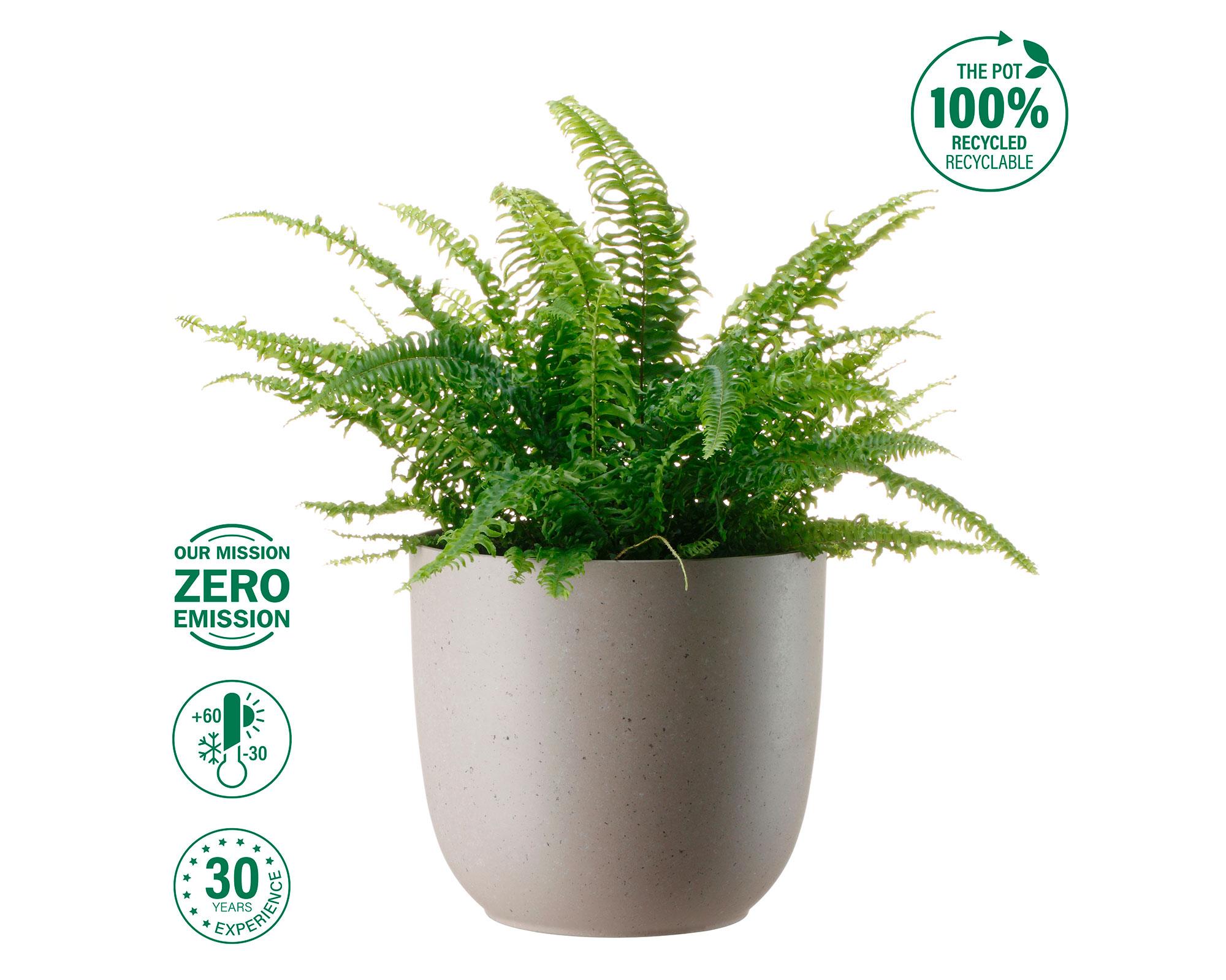 Maceta Fern cement-4