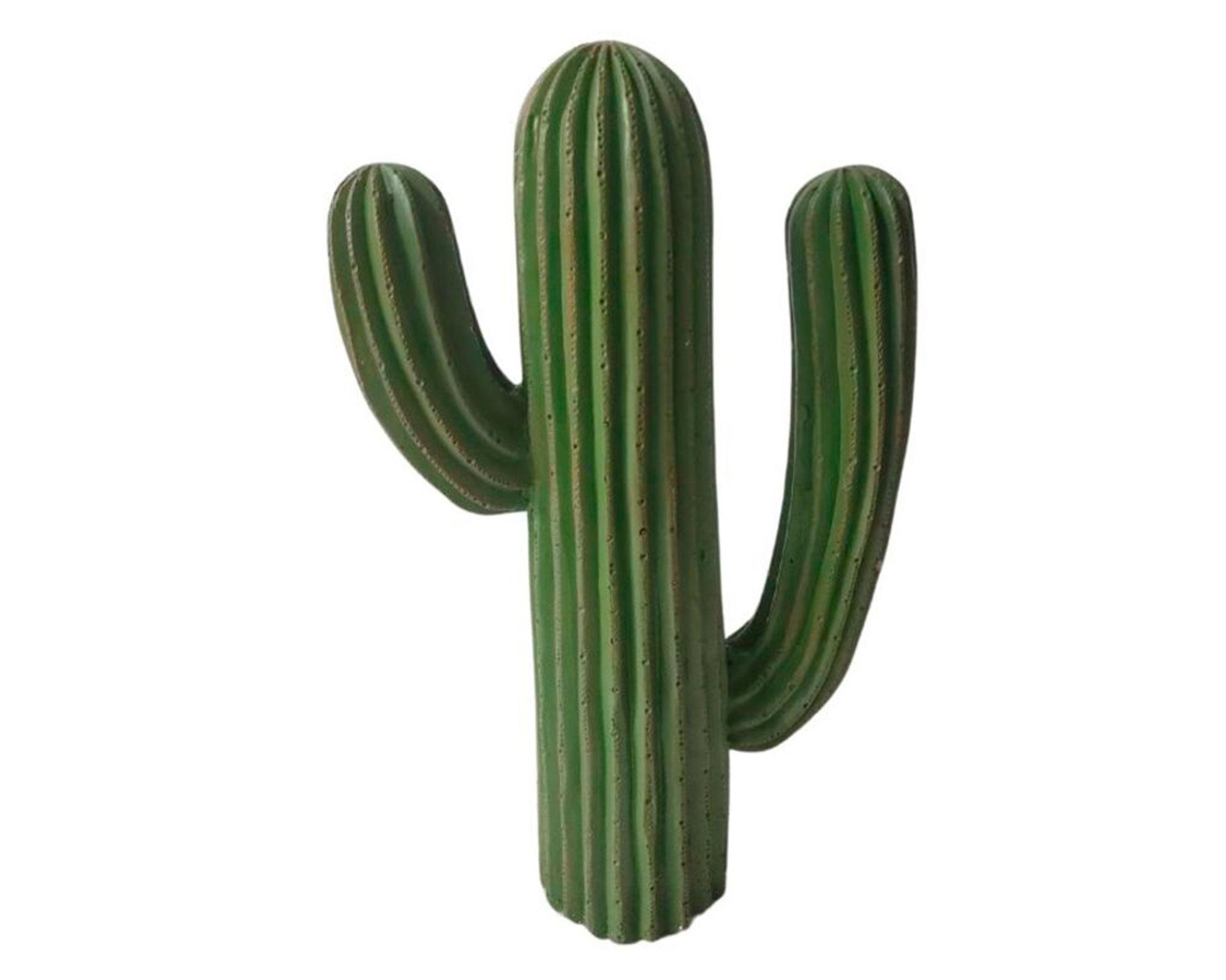 Figura decorativa Cactus 50 cm-1