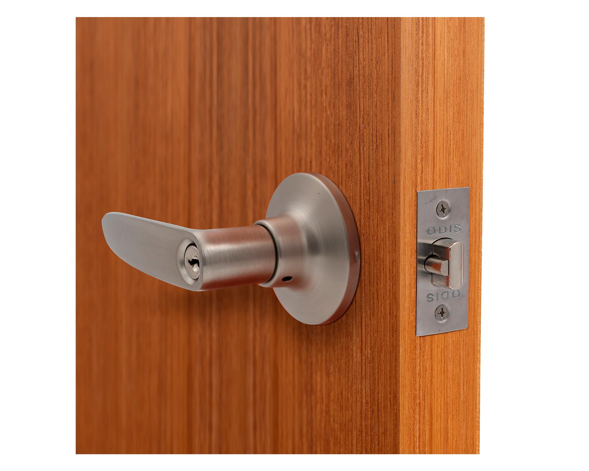 Cerradura tubular manilla 203 acceso plata mate-3