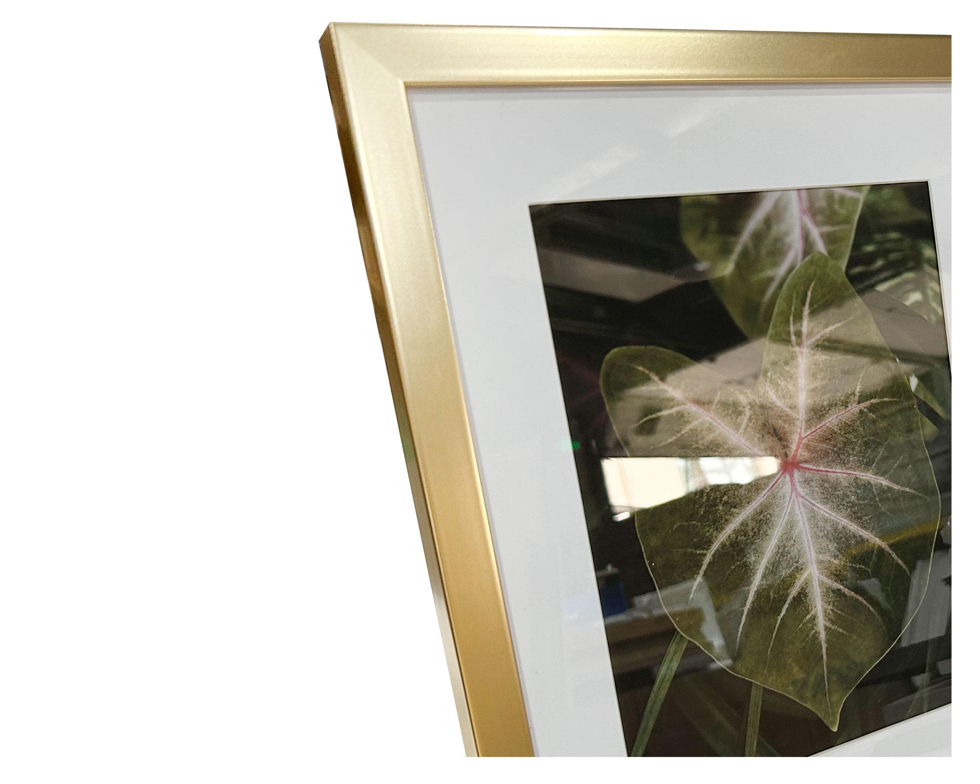 Multifoto 3 fotografías-2