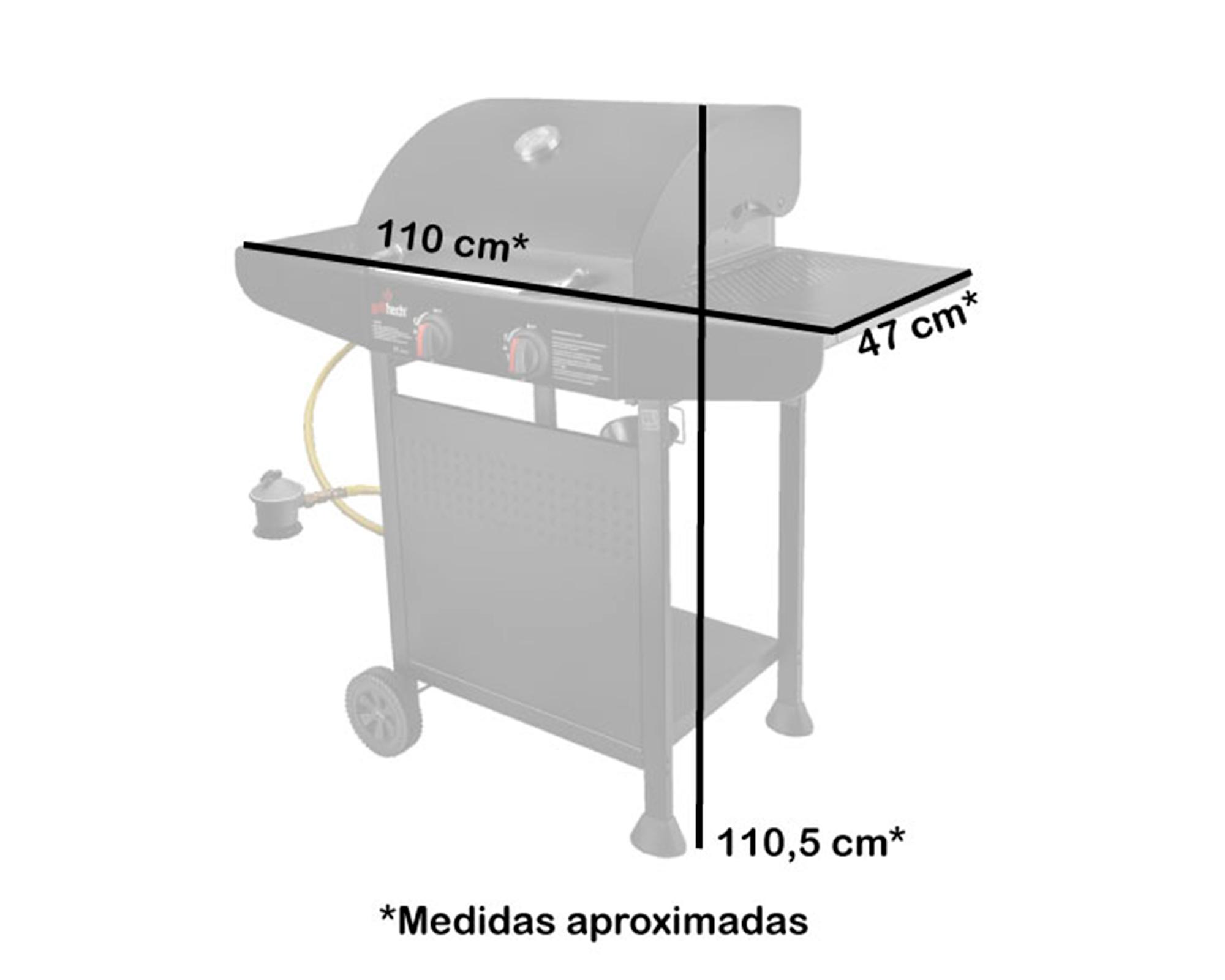Parrilla a gas 2 quemadores-5