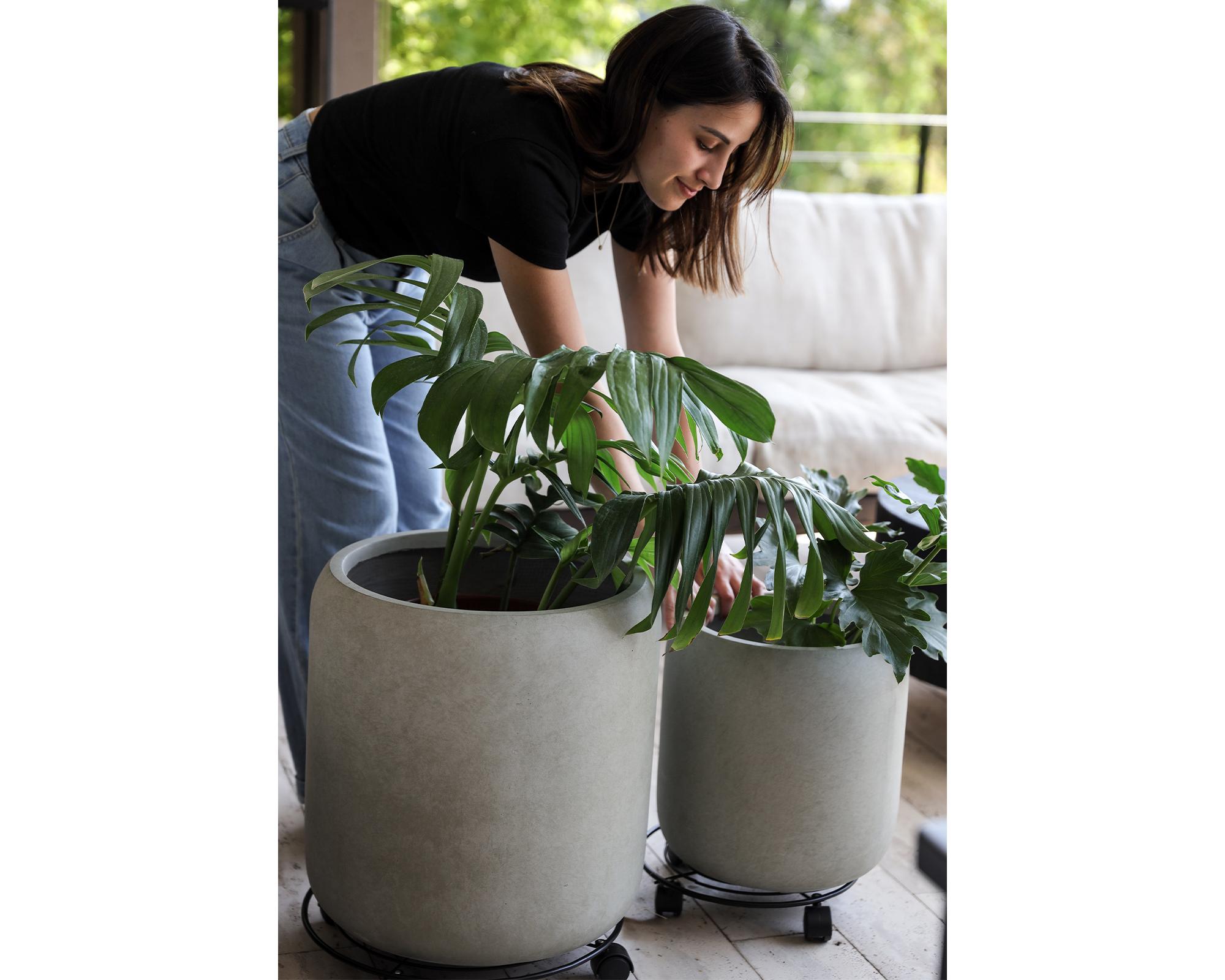 Transportador de plantas Plant Mover 15x40 cm metal-2