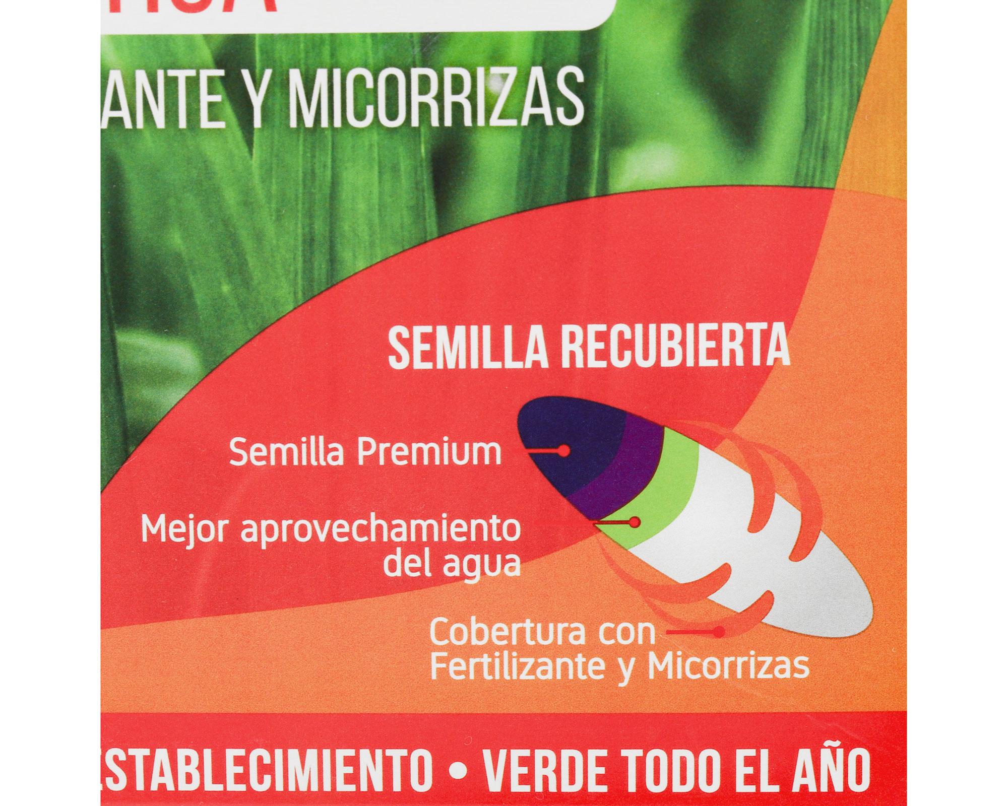 Mezcla semilla de pasto Prado rustica 500 g-2