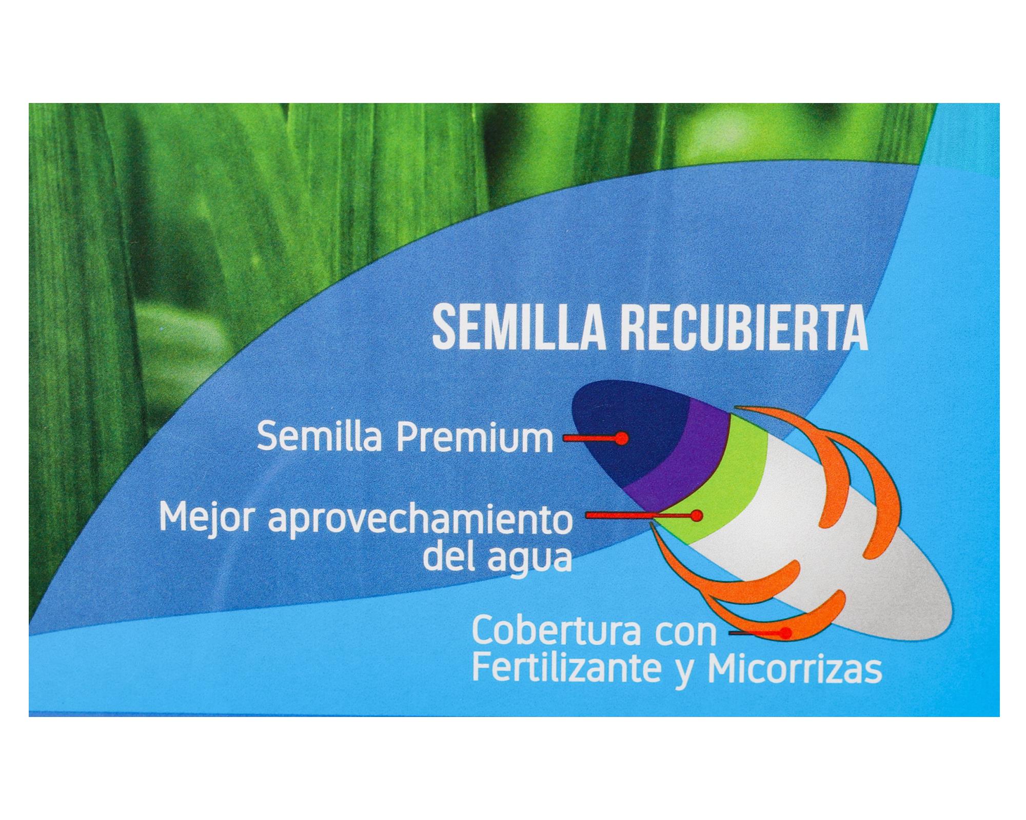 Mezcla semilla de pasto Prado ornamental 500 g-2