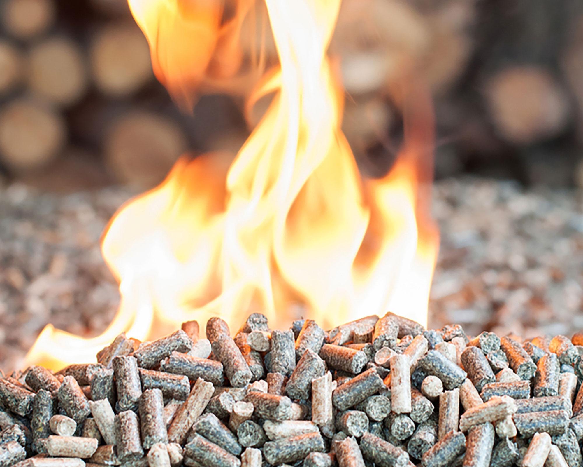 Deshollinador Estufa pellet 1.5 kg-3