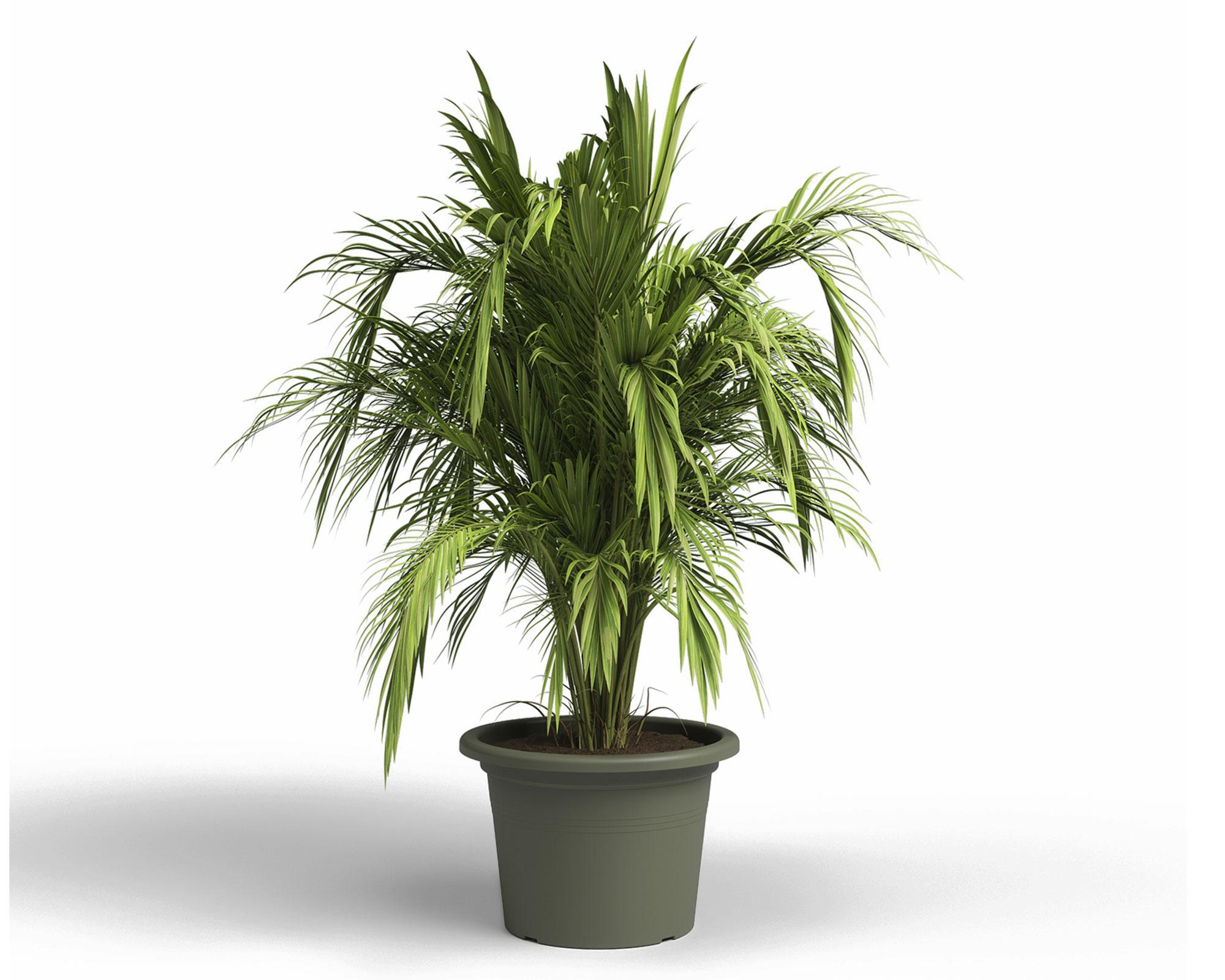 Maceta Venezia dry green 20 cm-1