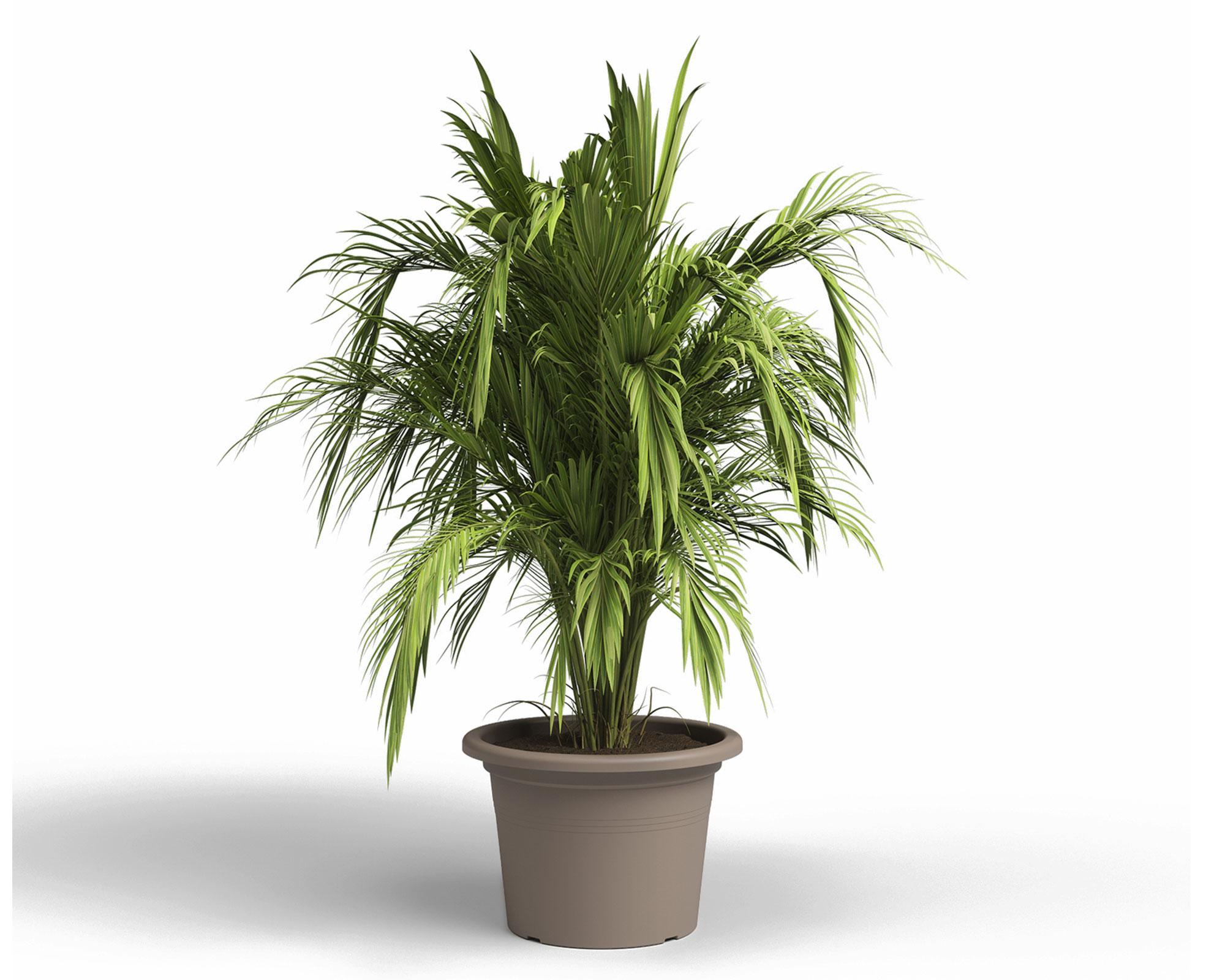 Maceta Venezia taupe 20 cm-1