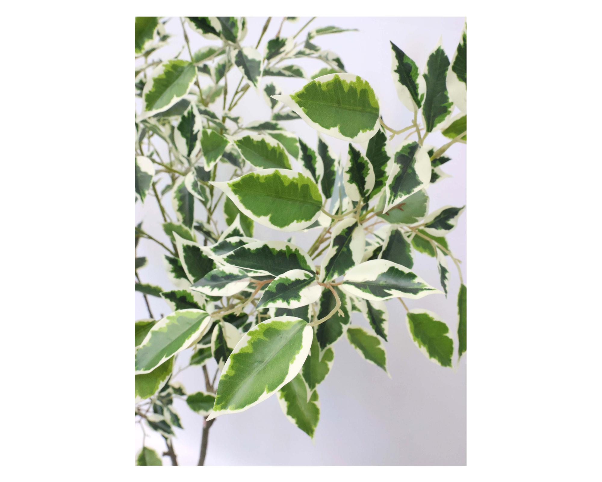 Planta artificial Ficus 150 cm-2