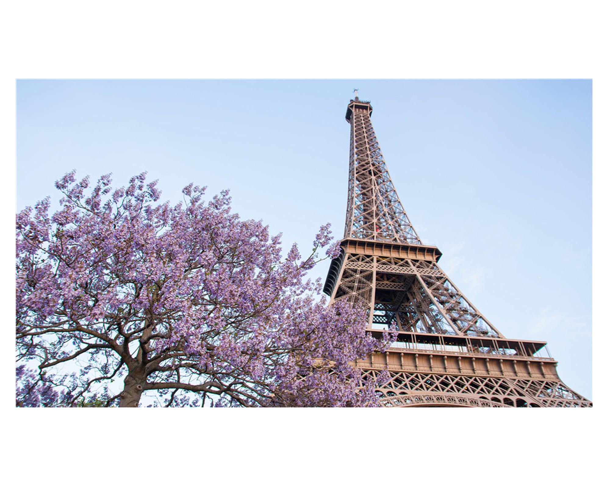 Cuadro canvas Paris 40x70x1.8 cm-0