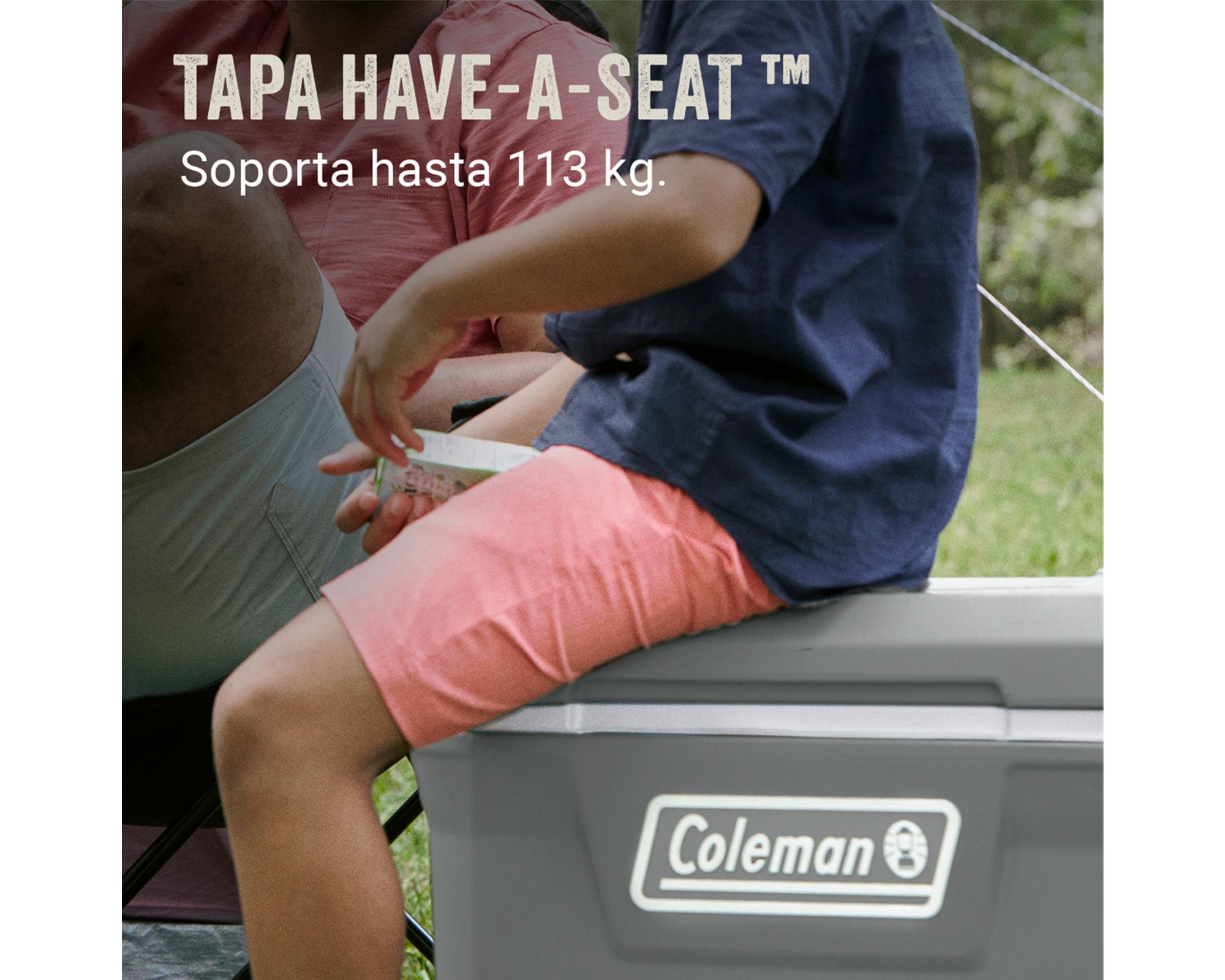 Cooler 316 con ruedas gris 61.5 lt-4